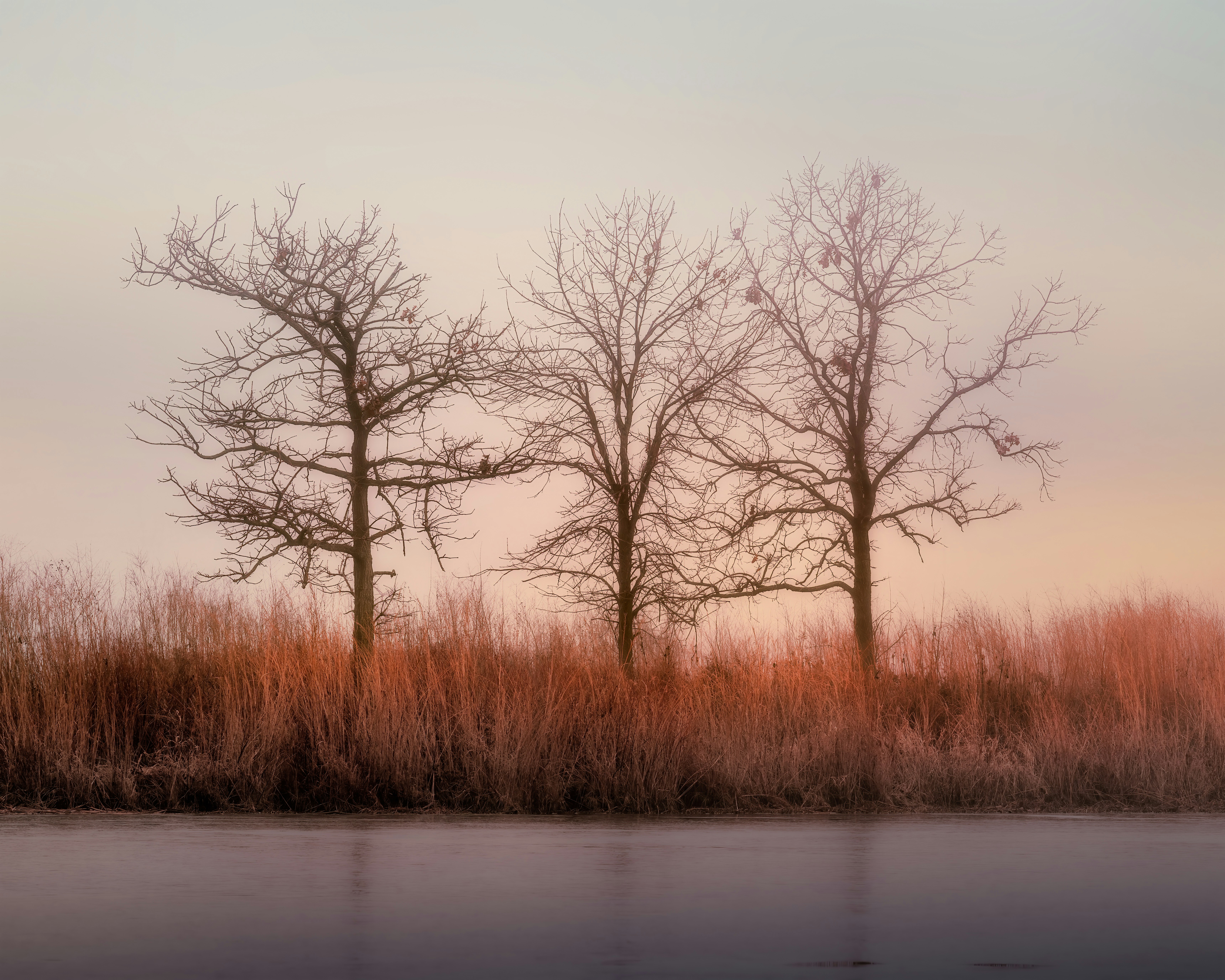 Photo by skylerewing