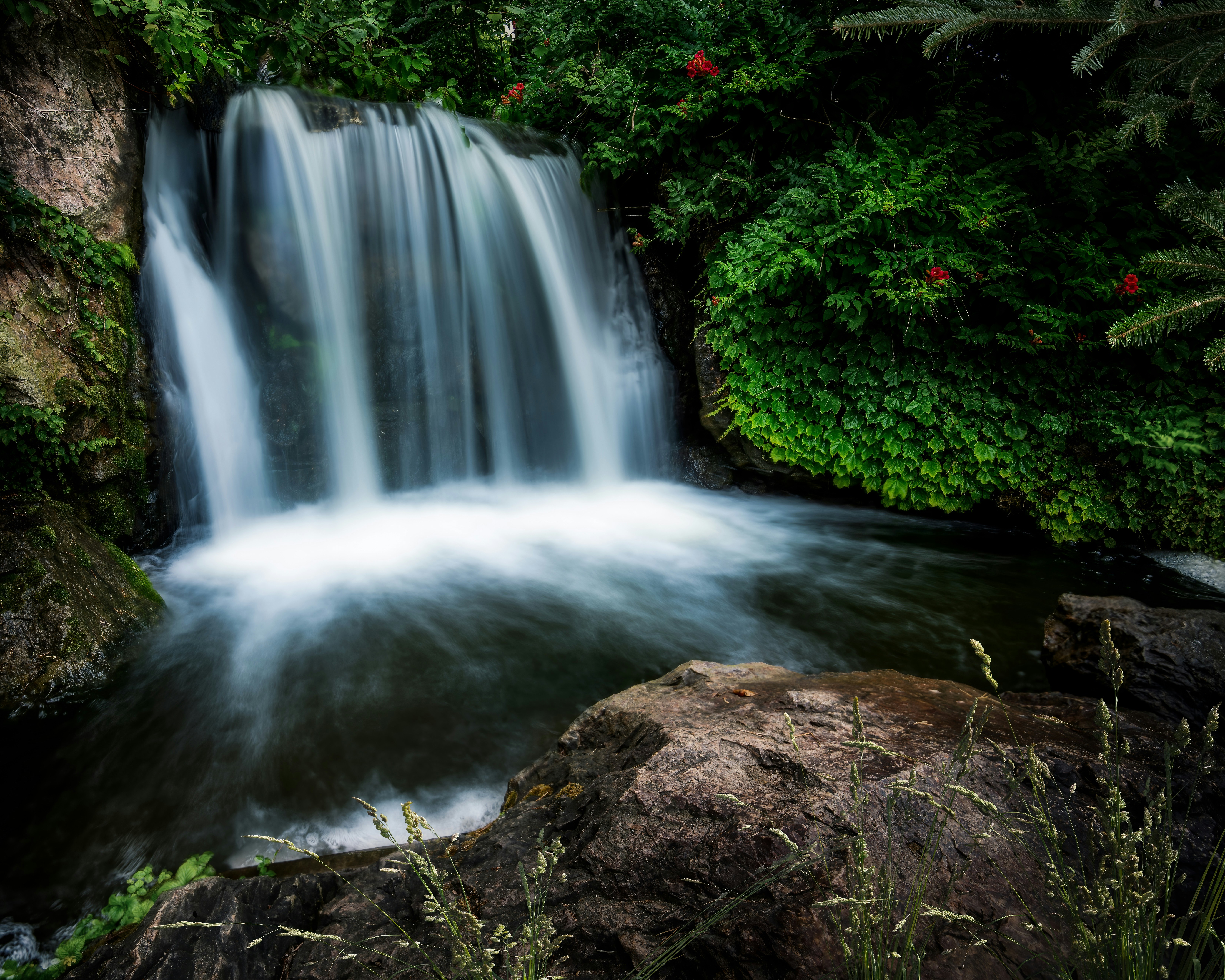 Photo by skylerewing