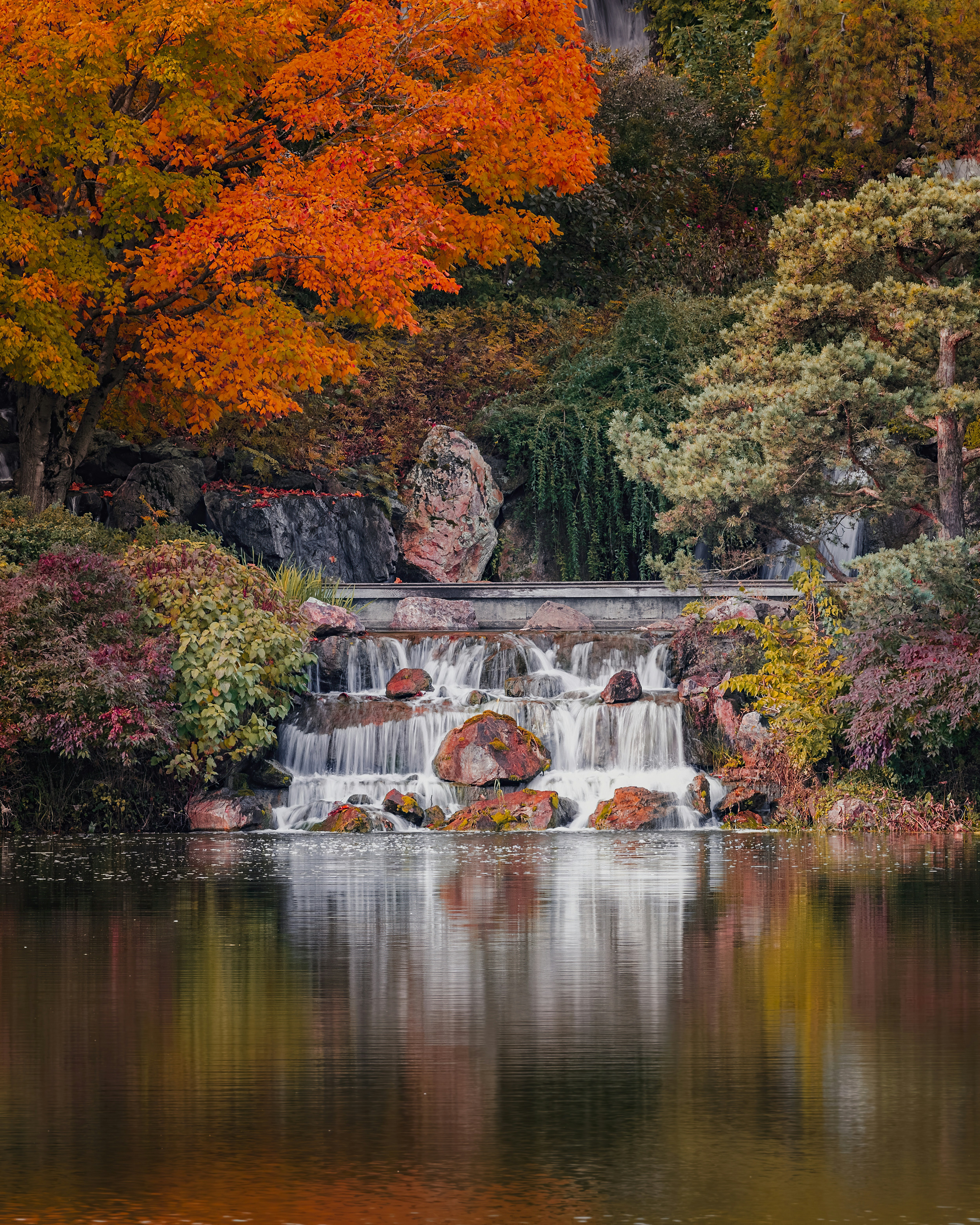 Photo by skylerewing