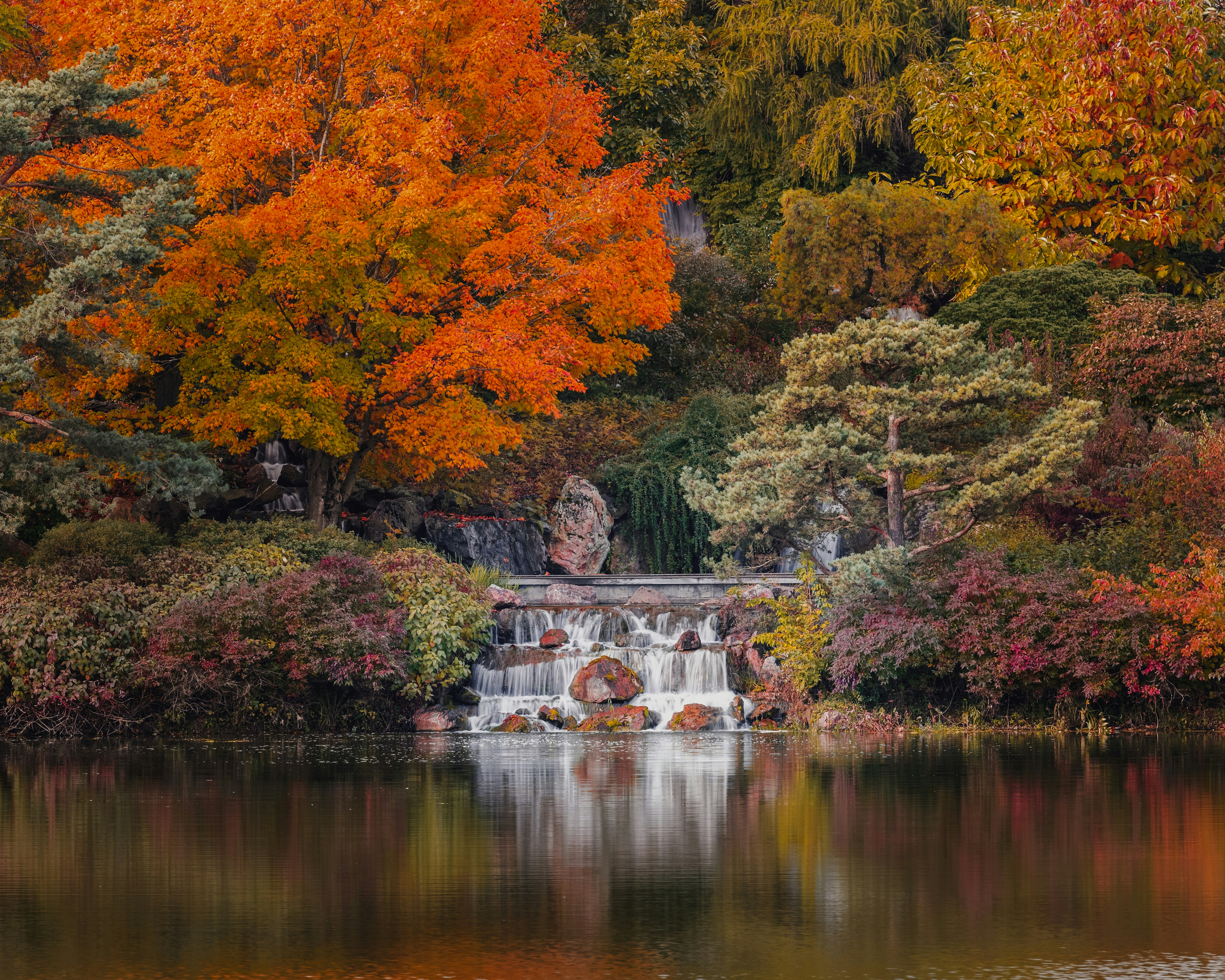 Photo by skylerewing