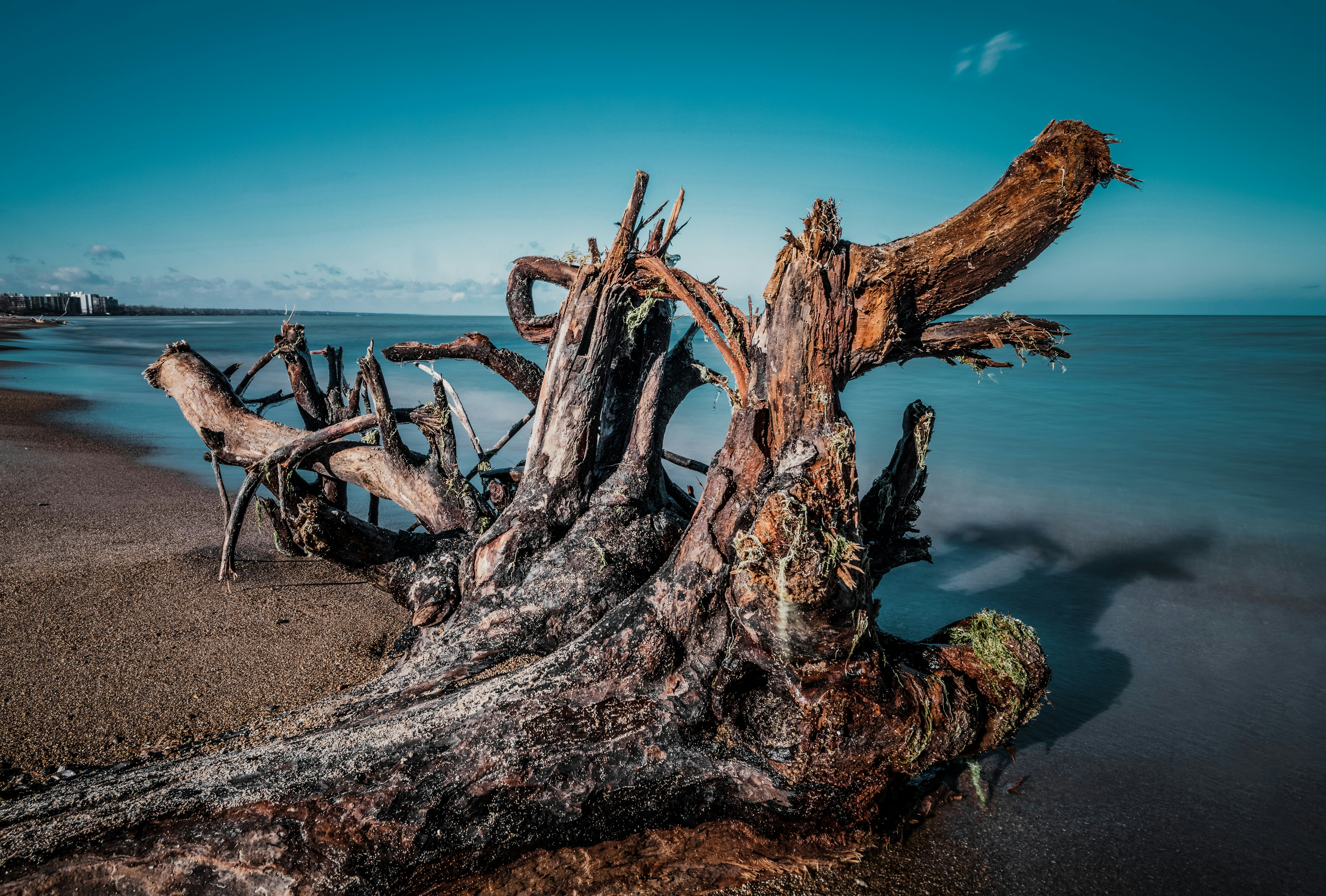 Photo by skylerewing