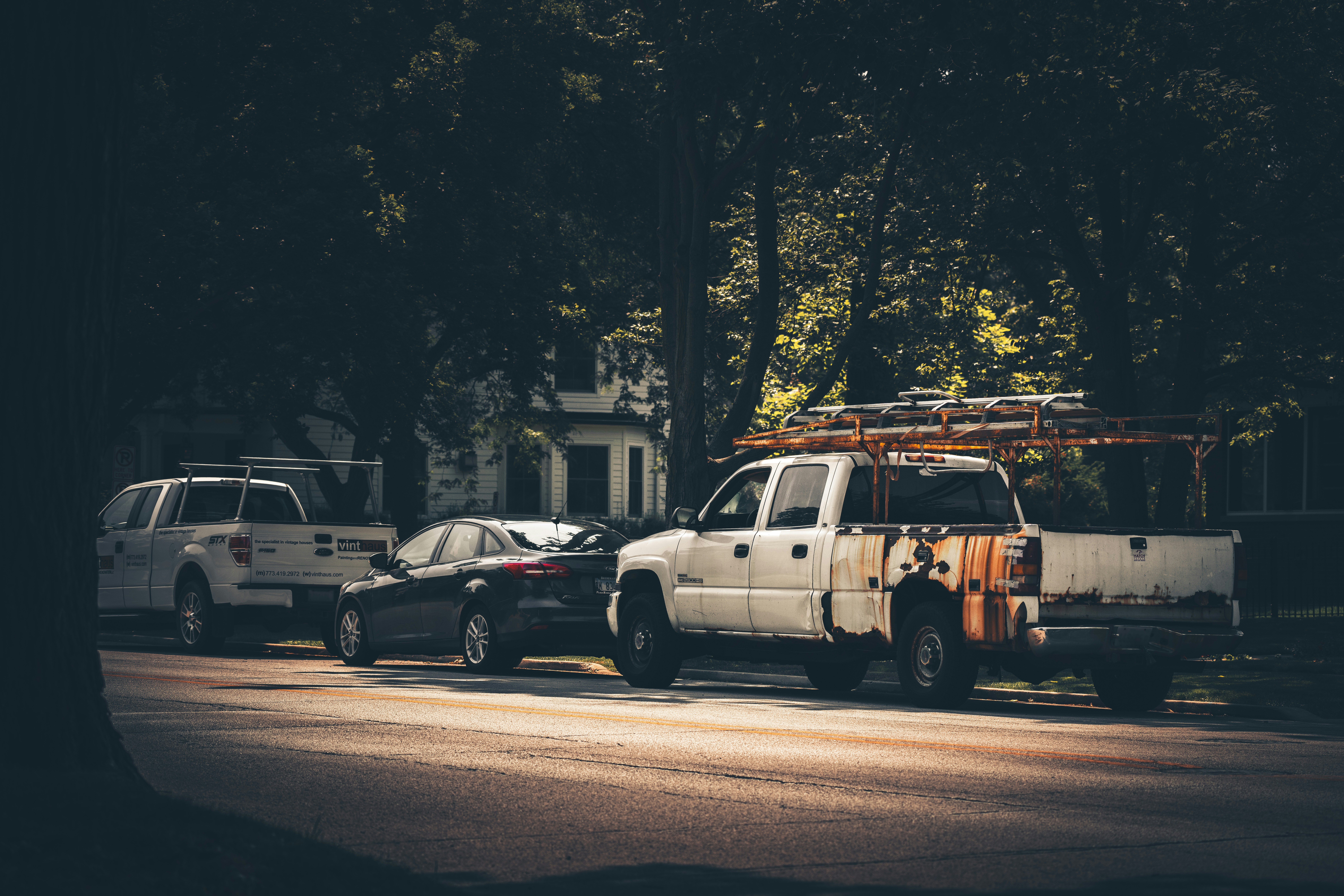 Photo by skylerewing