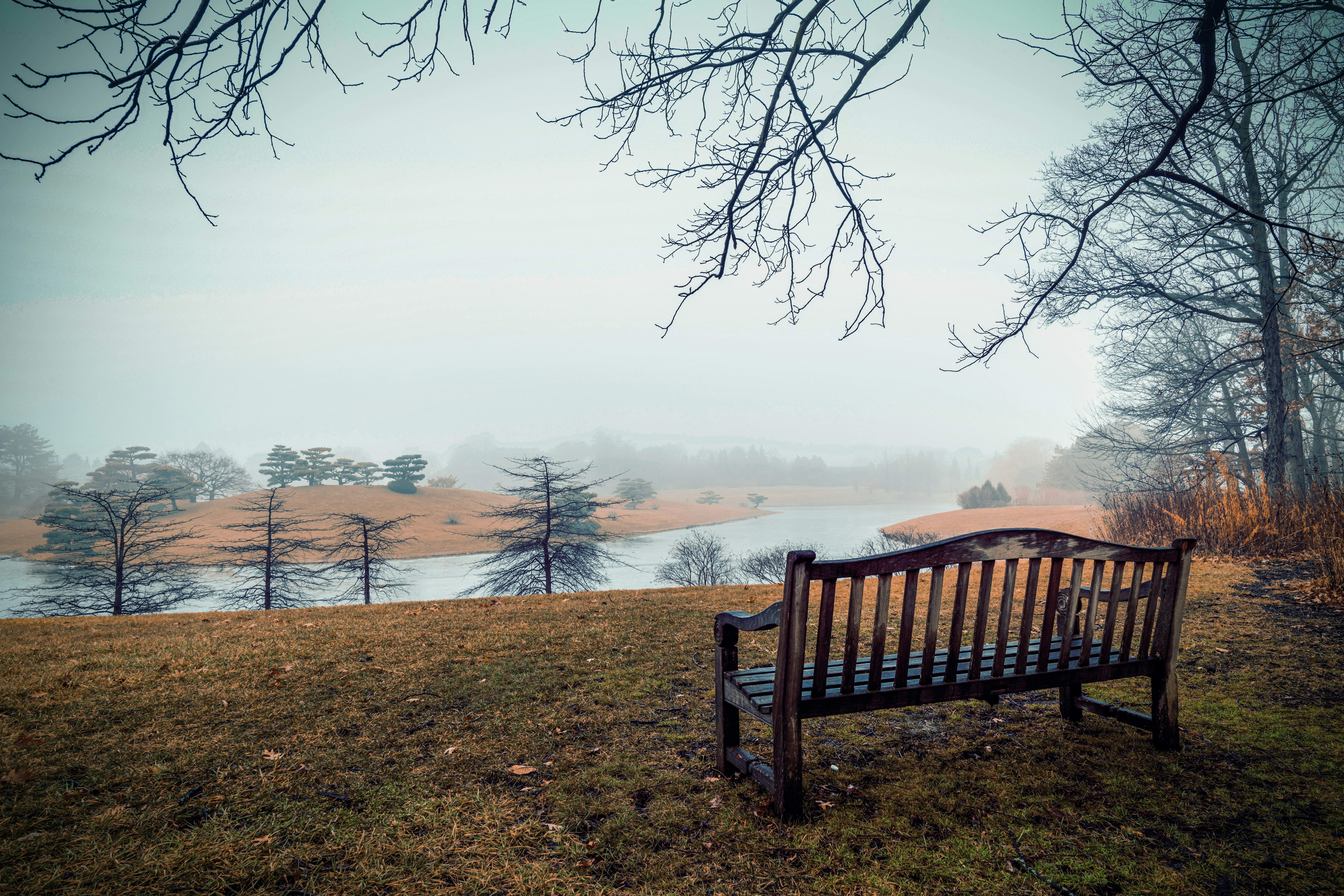 Photo by skylerewing