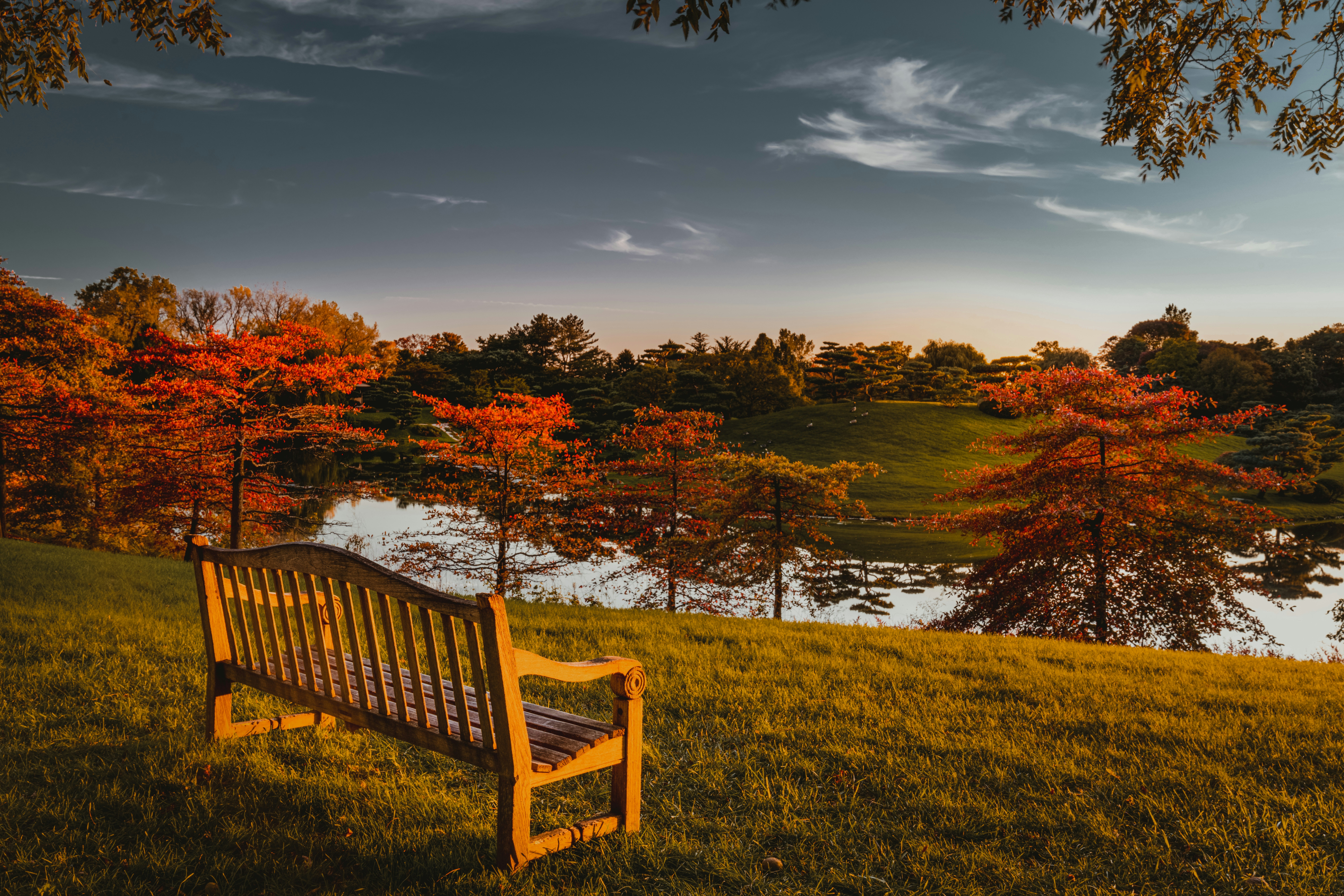 Peaceful outdoor scene representing legacy and peace of mind - Final expense over 75