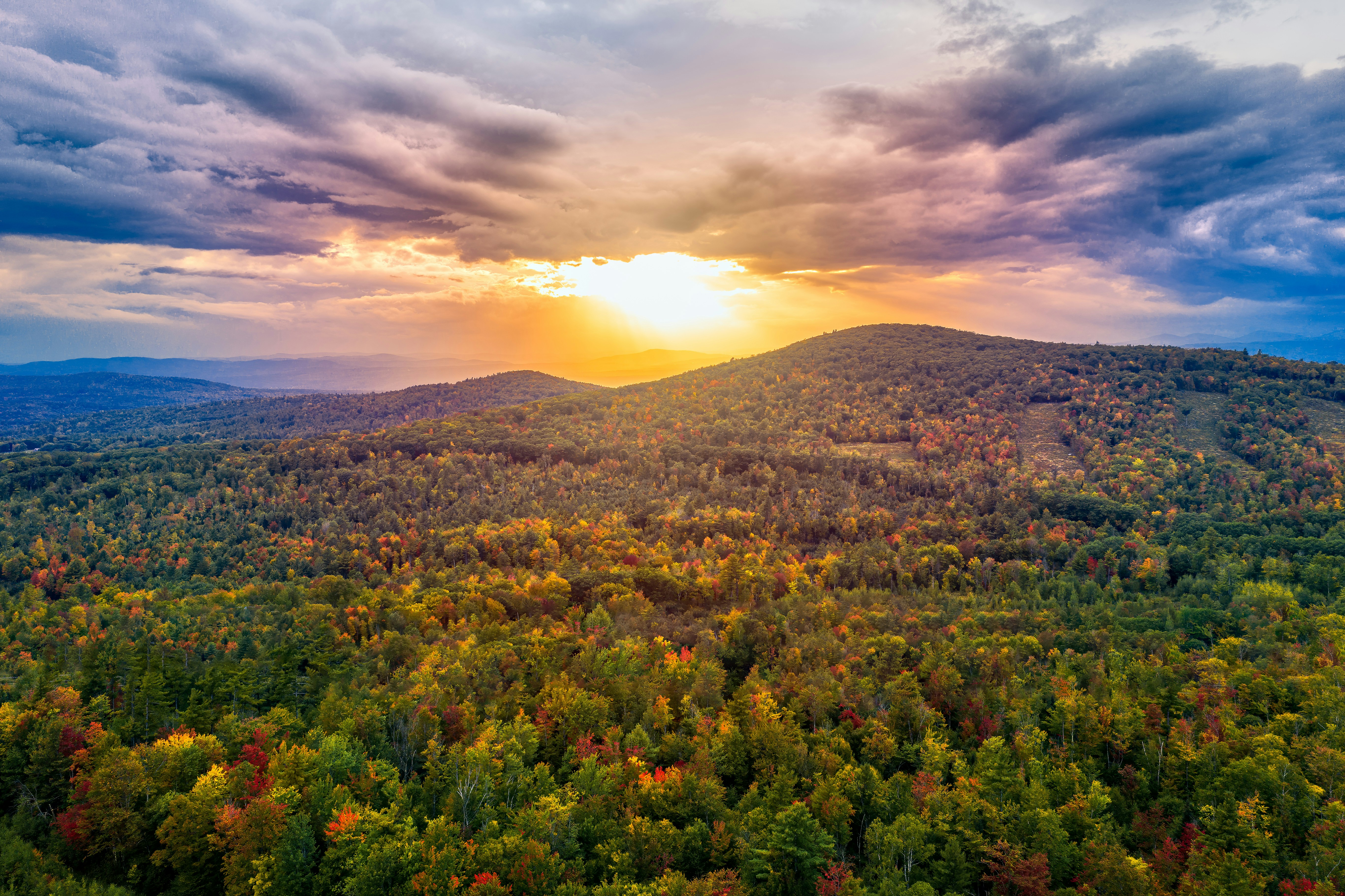 Photo by skylerewing