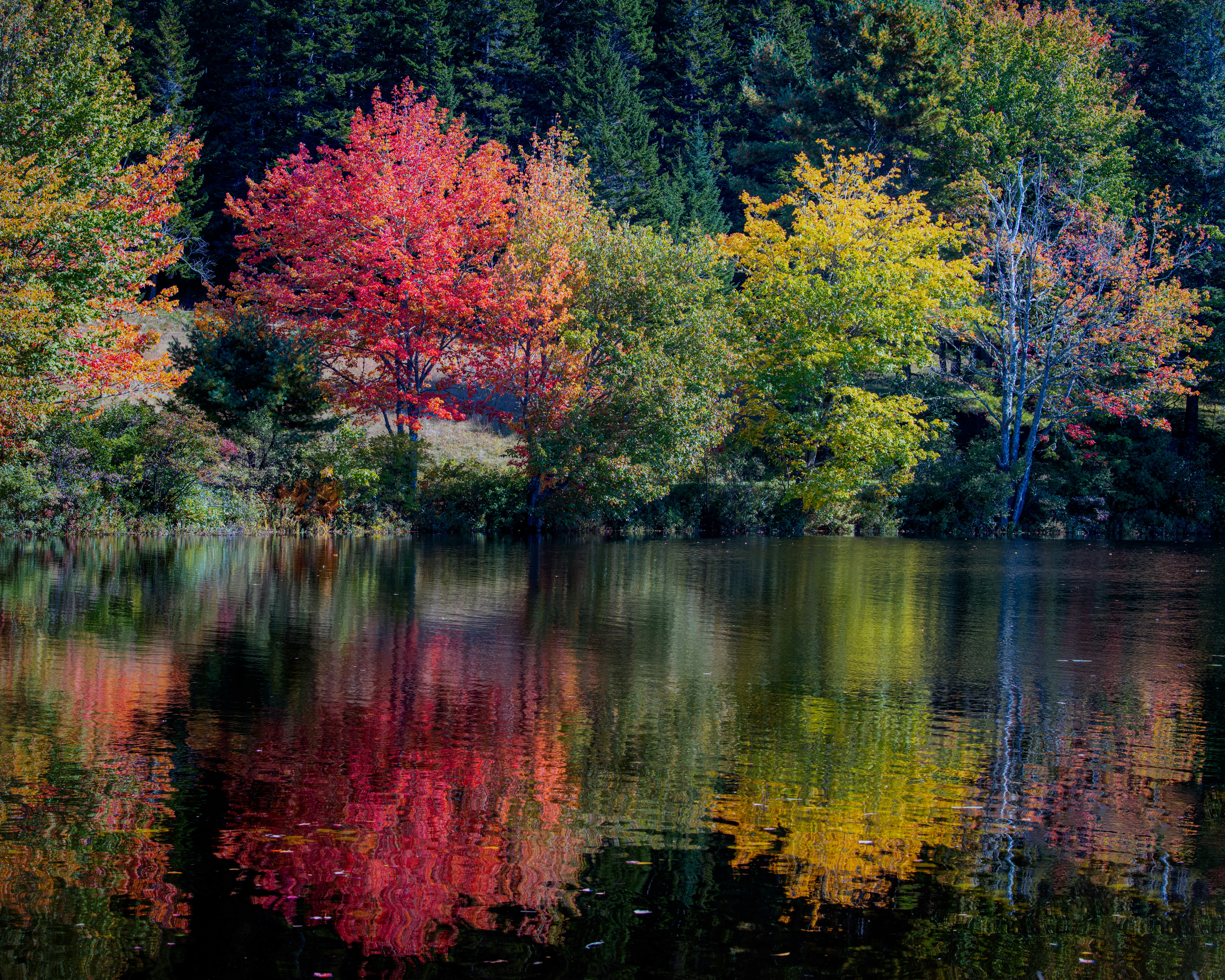 Photo by skylerewing