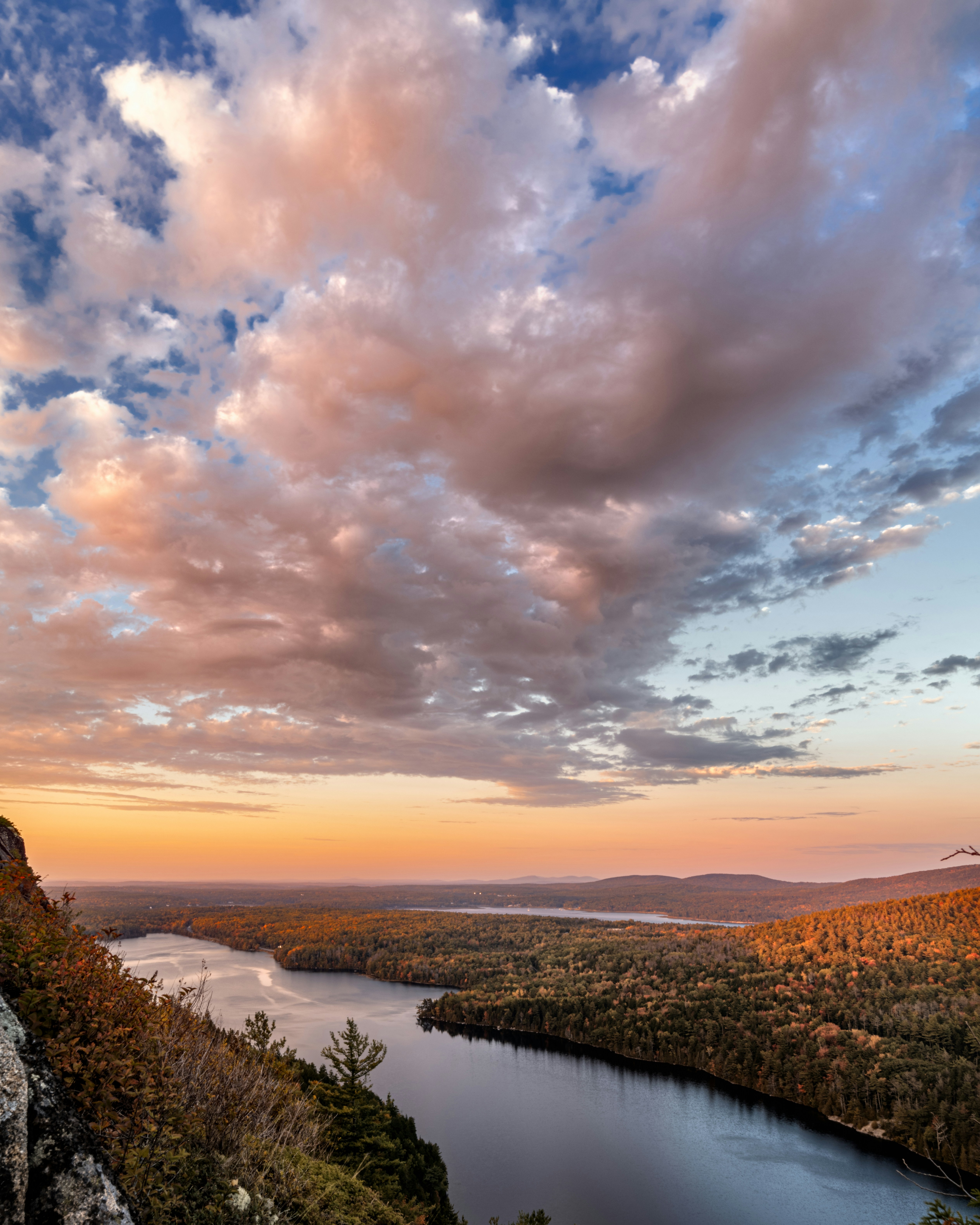 Photo by skylerewing