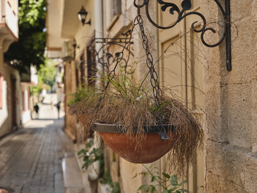 a bird nest on a fence