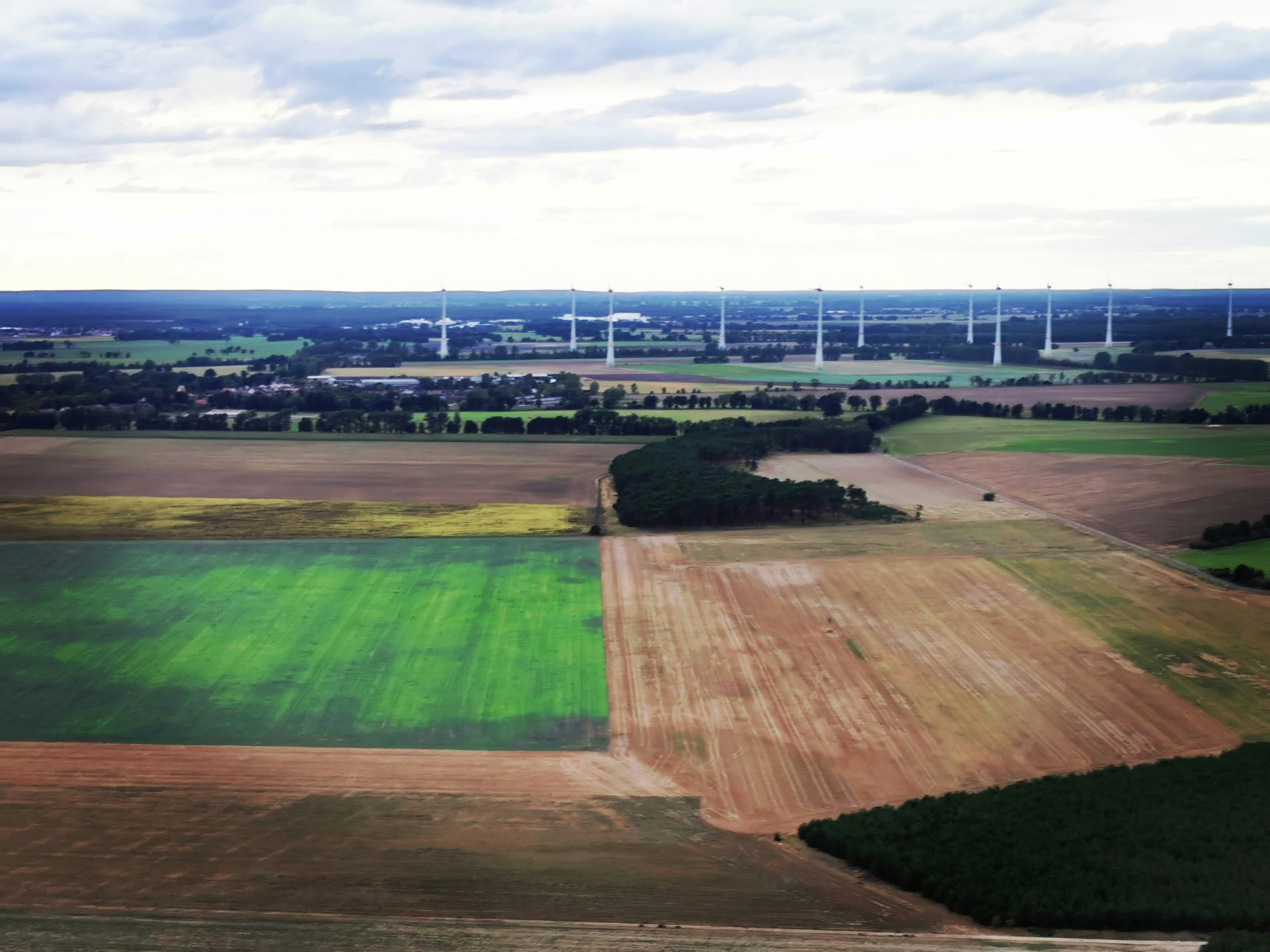 Un grand champ avec des moulins à vent au loin