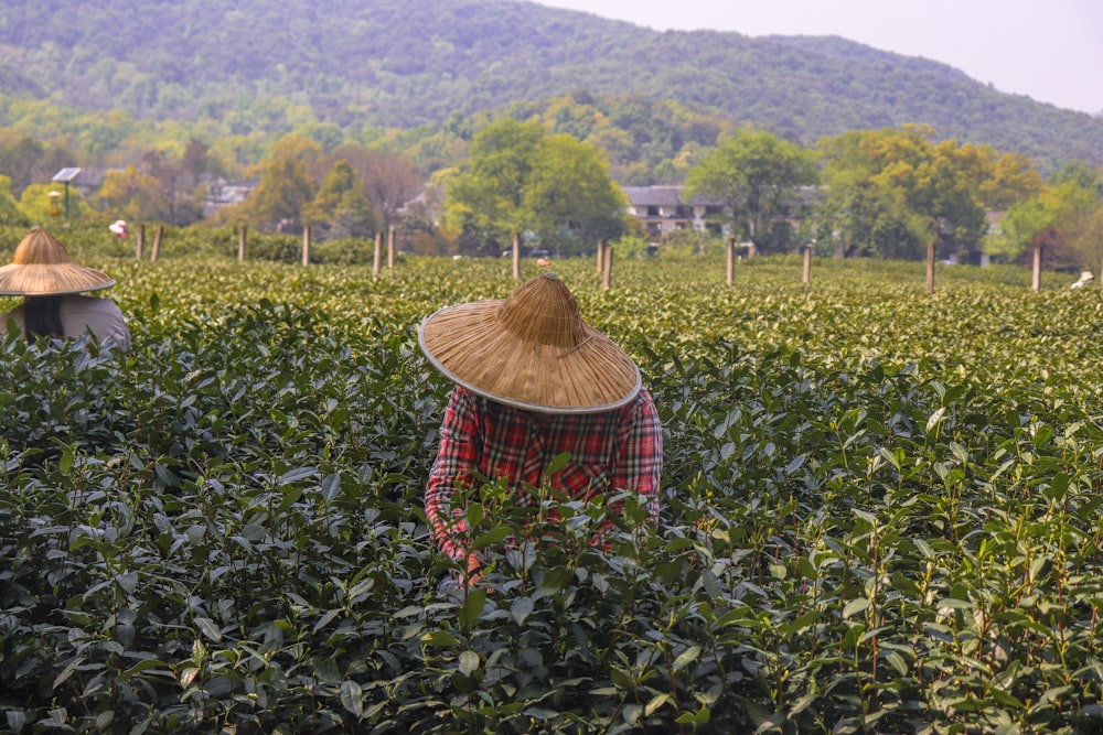 people in a field