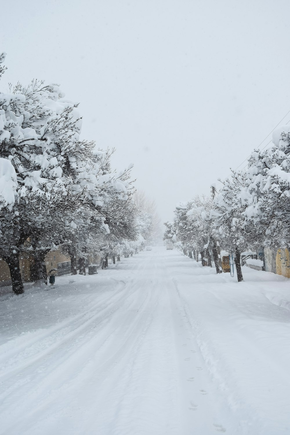 a snowy road with trees on either side of it