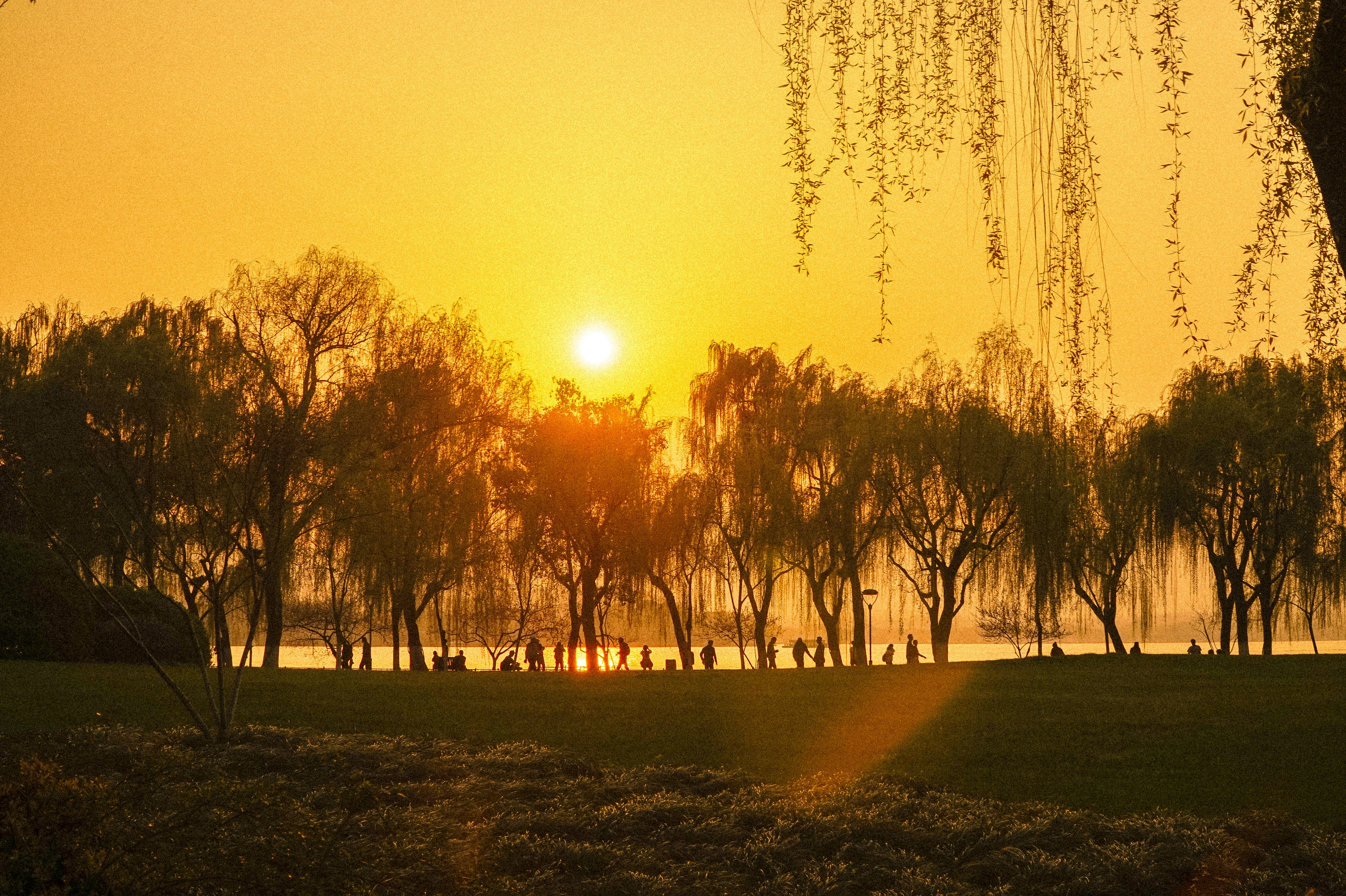 The Chameleon Effect: Why You Copy Everyone Around You