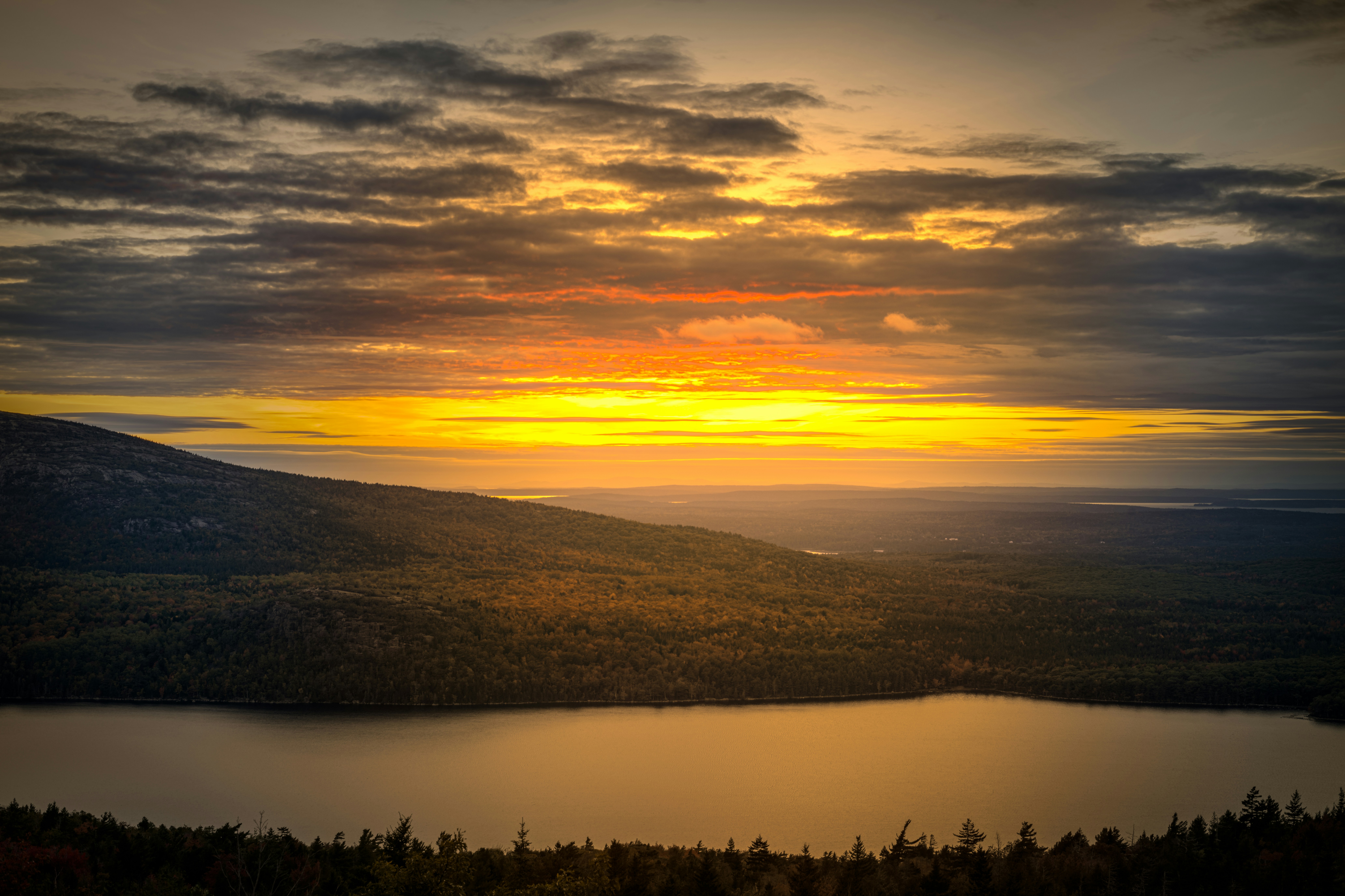 Photo by skylerewing