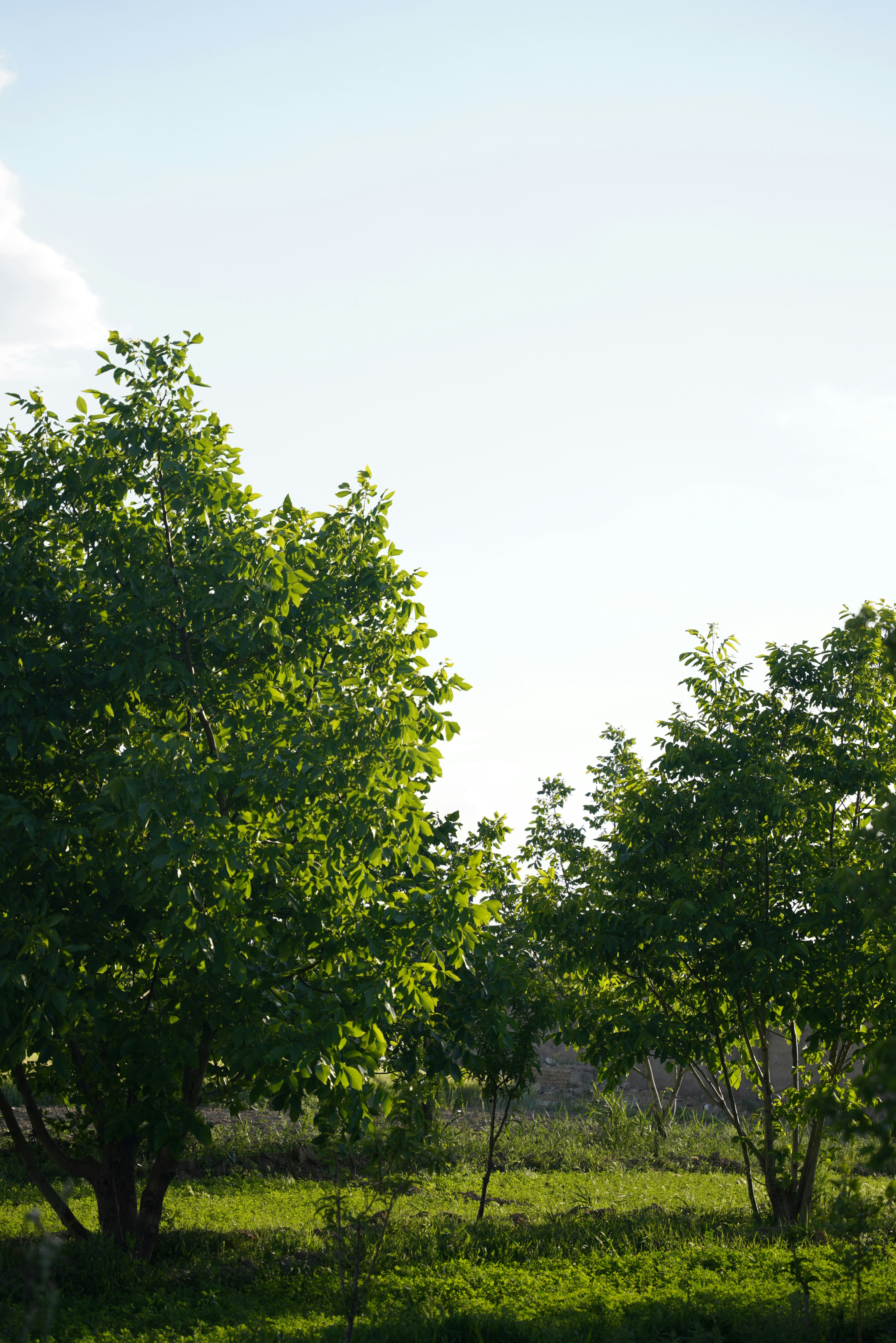 Photo by mahyar_mirghasmi