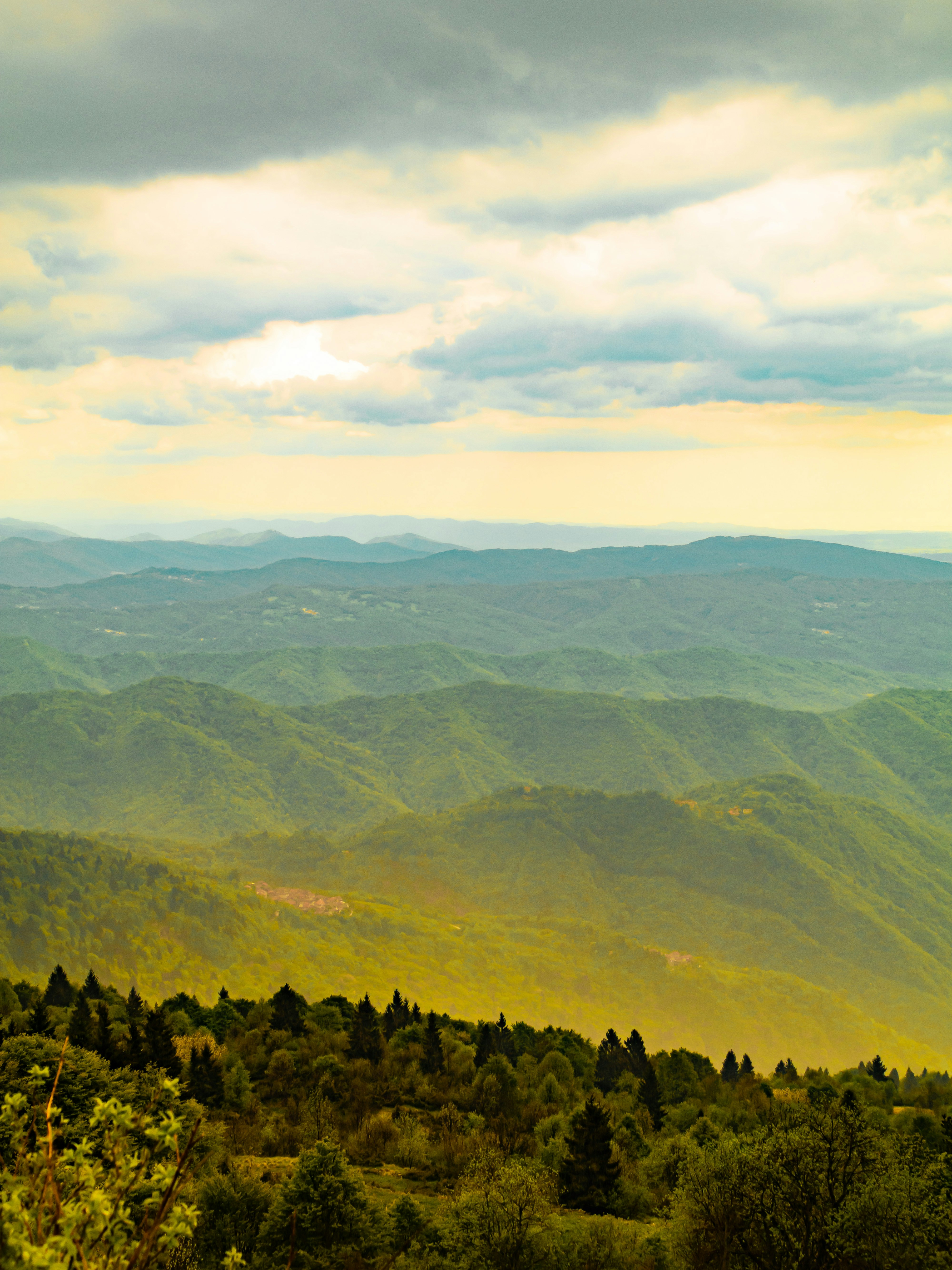 Photo by merlin_photo