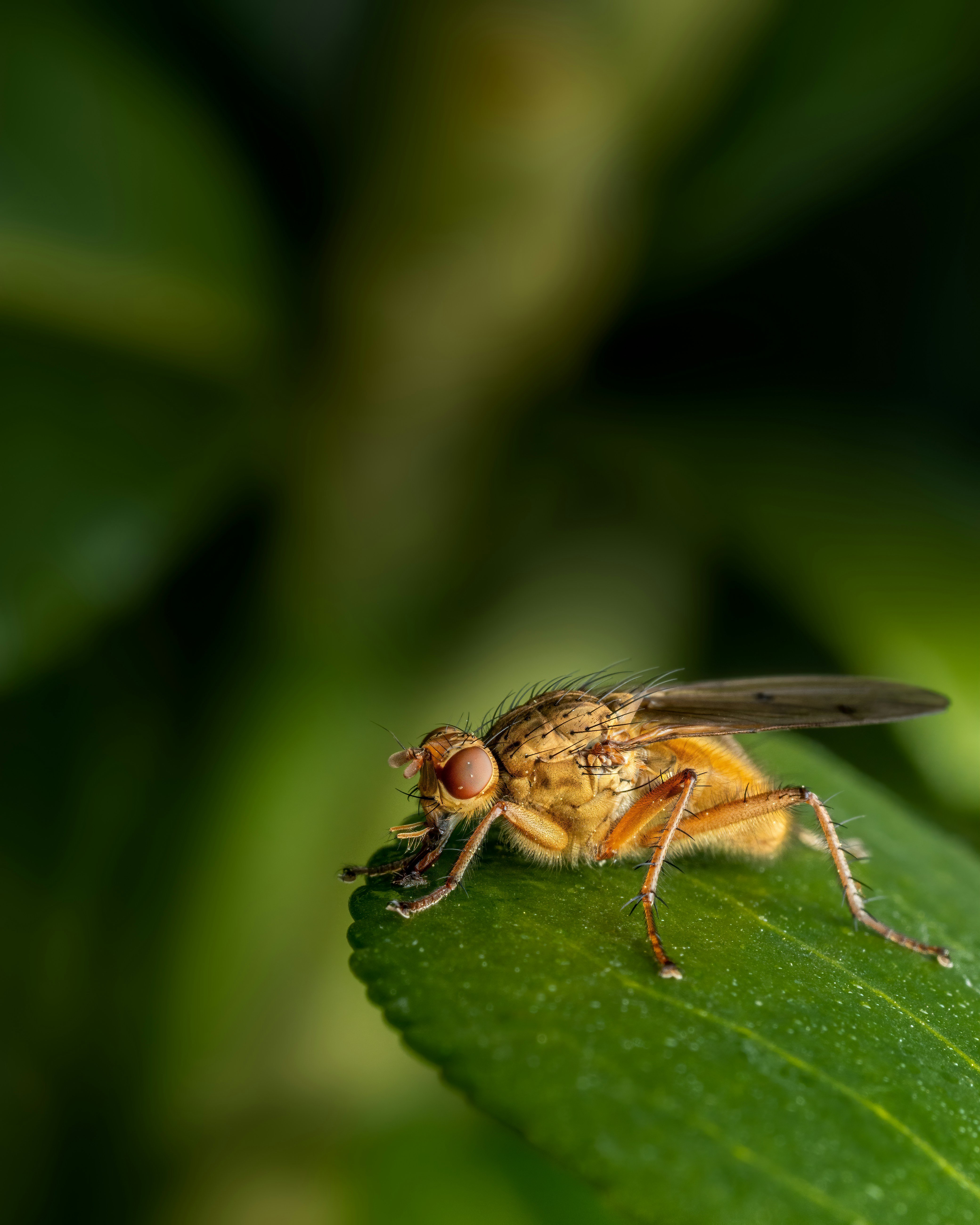 Photo by skylerewing