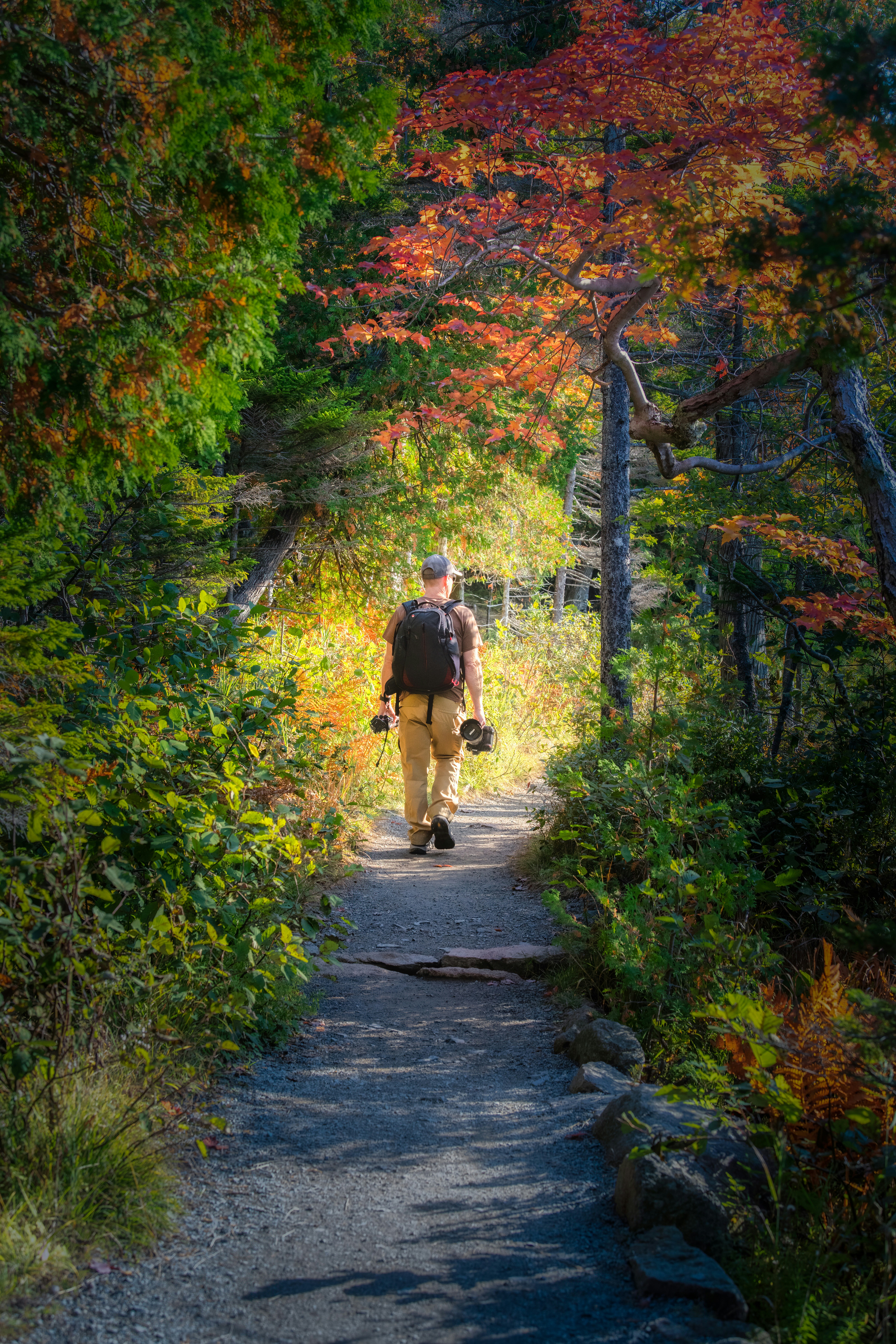 Photo by skylerewing