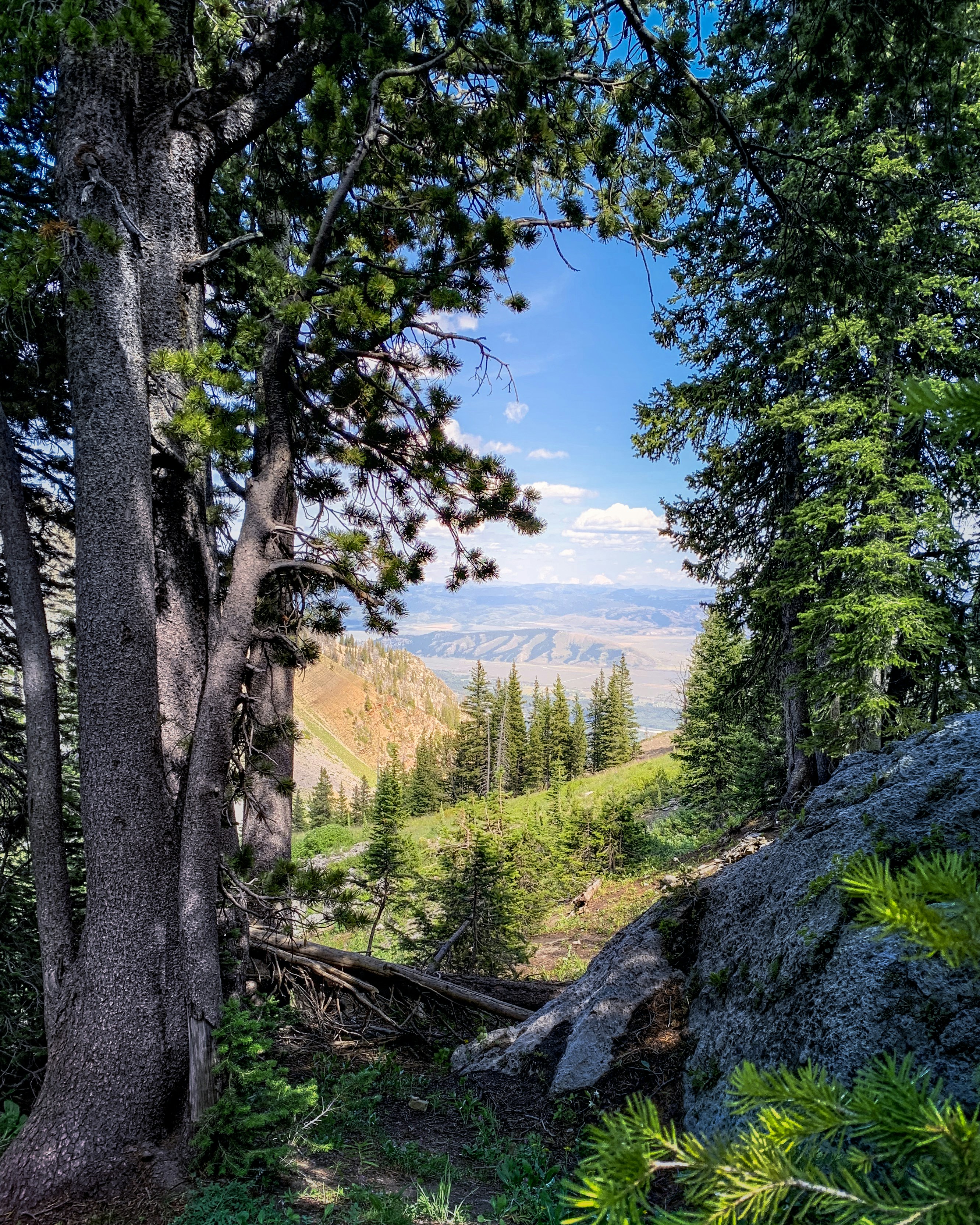 Photo by skylerewing