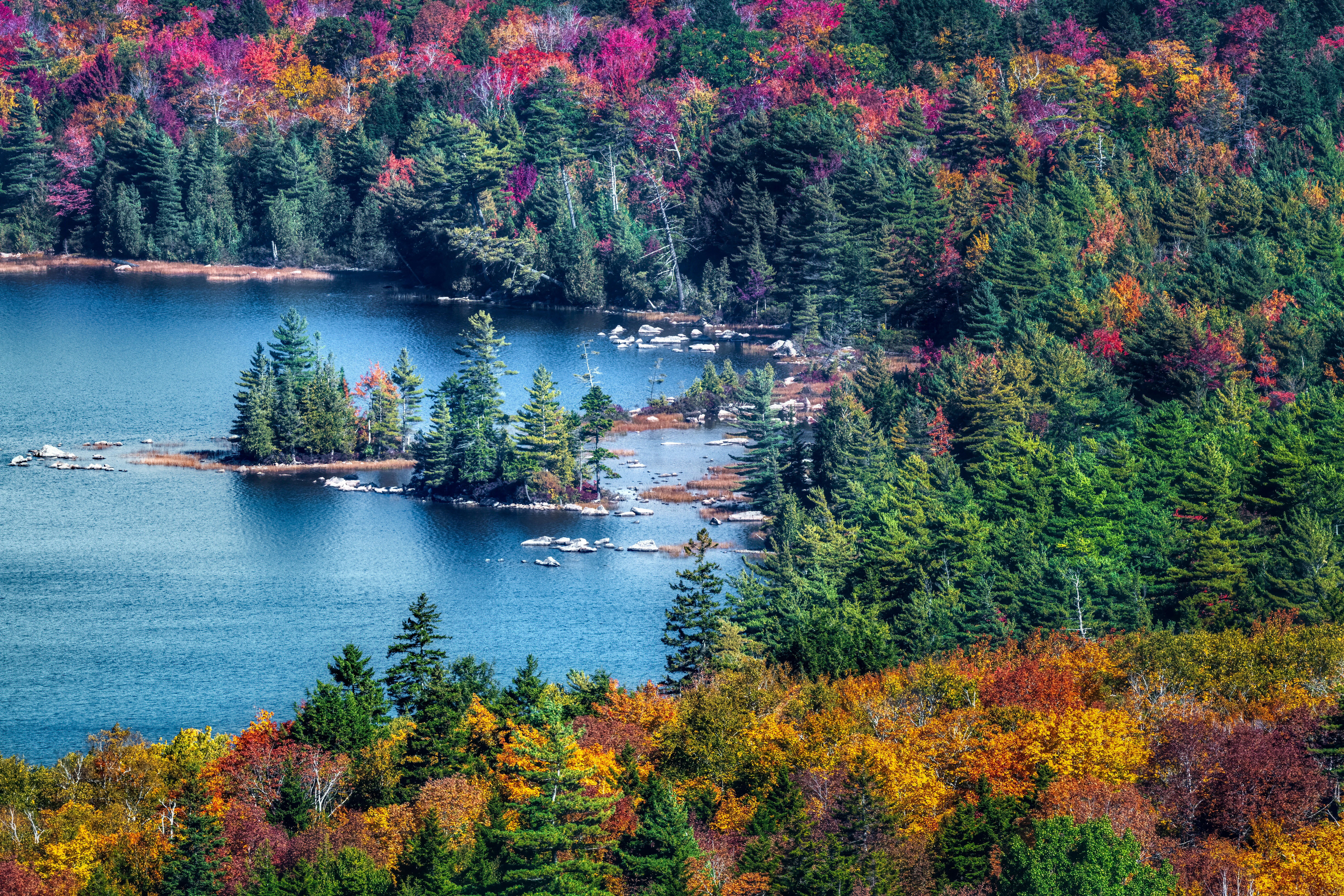 Photo by skylerewing