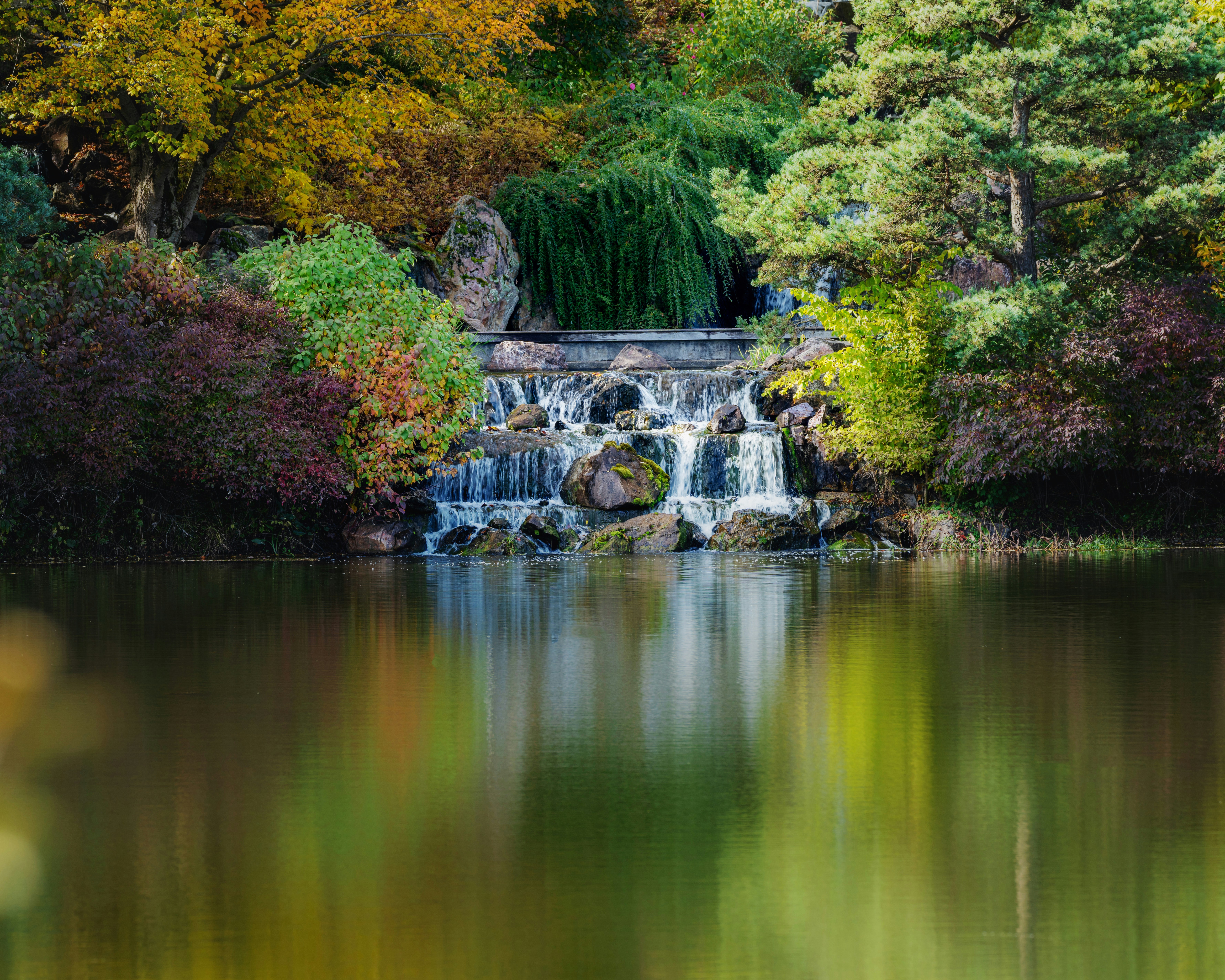 Photo by skylerewing