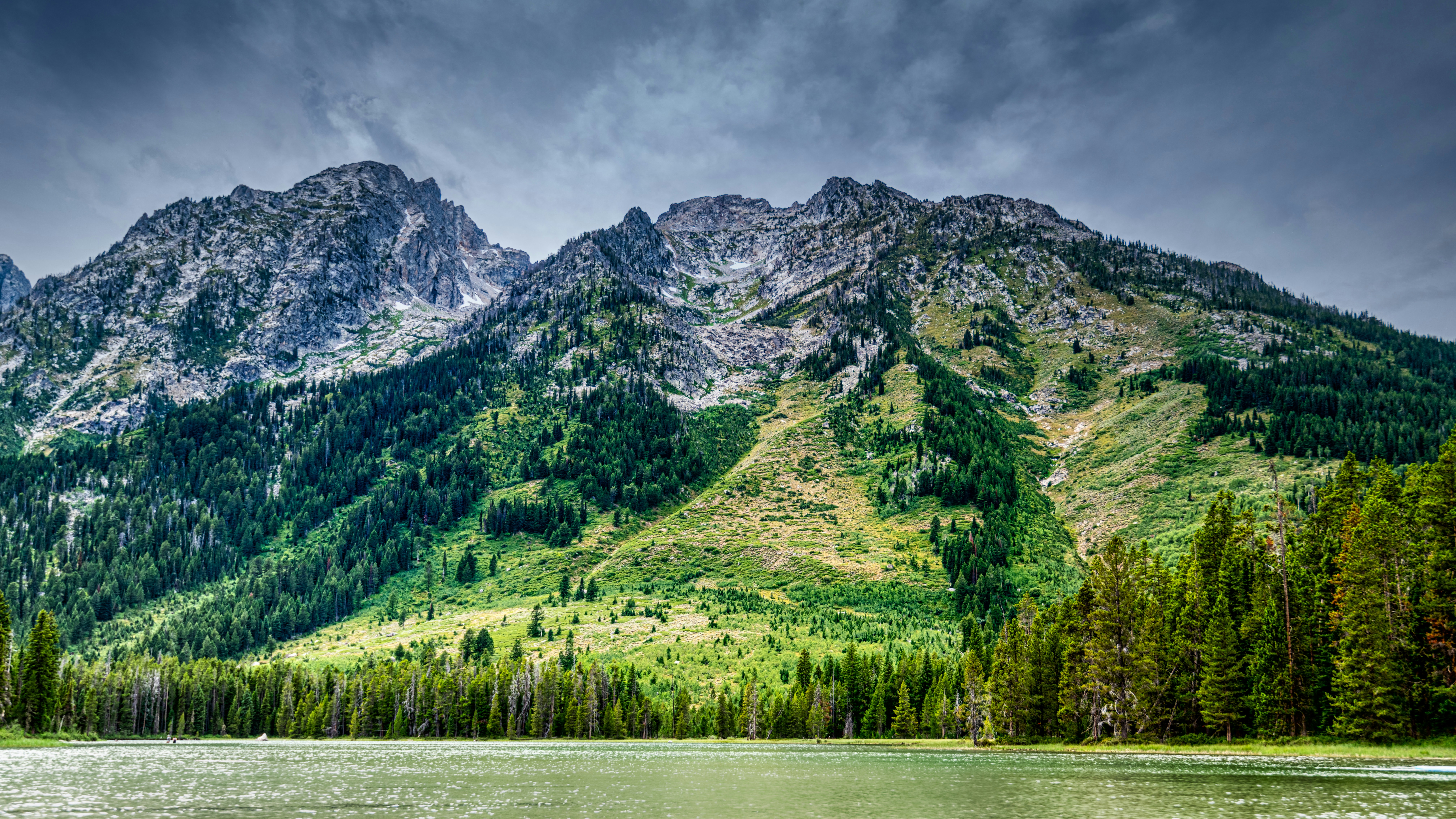 Photo by skylerewing