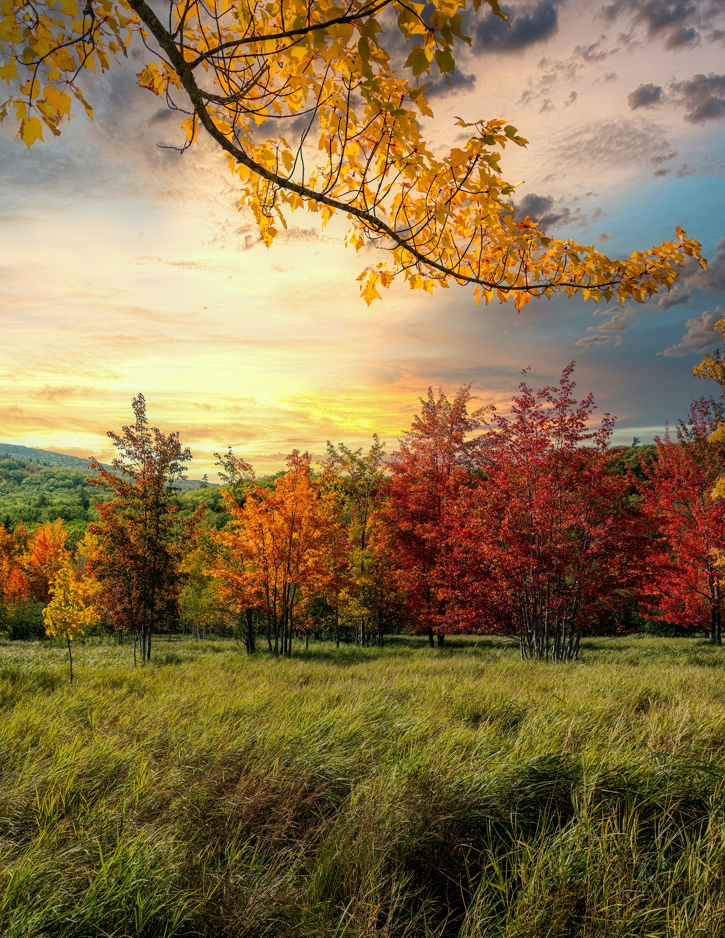 Photo by skylerewing