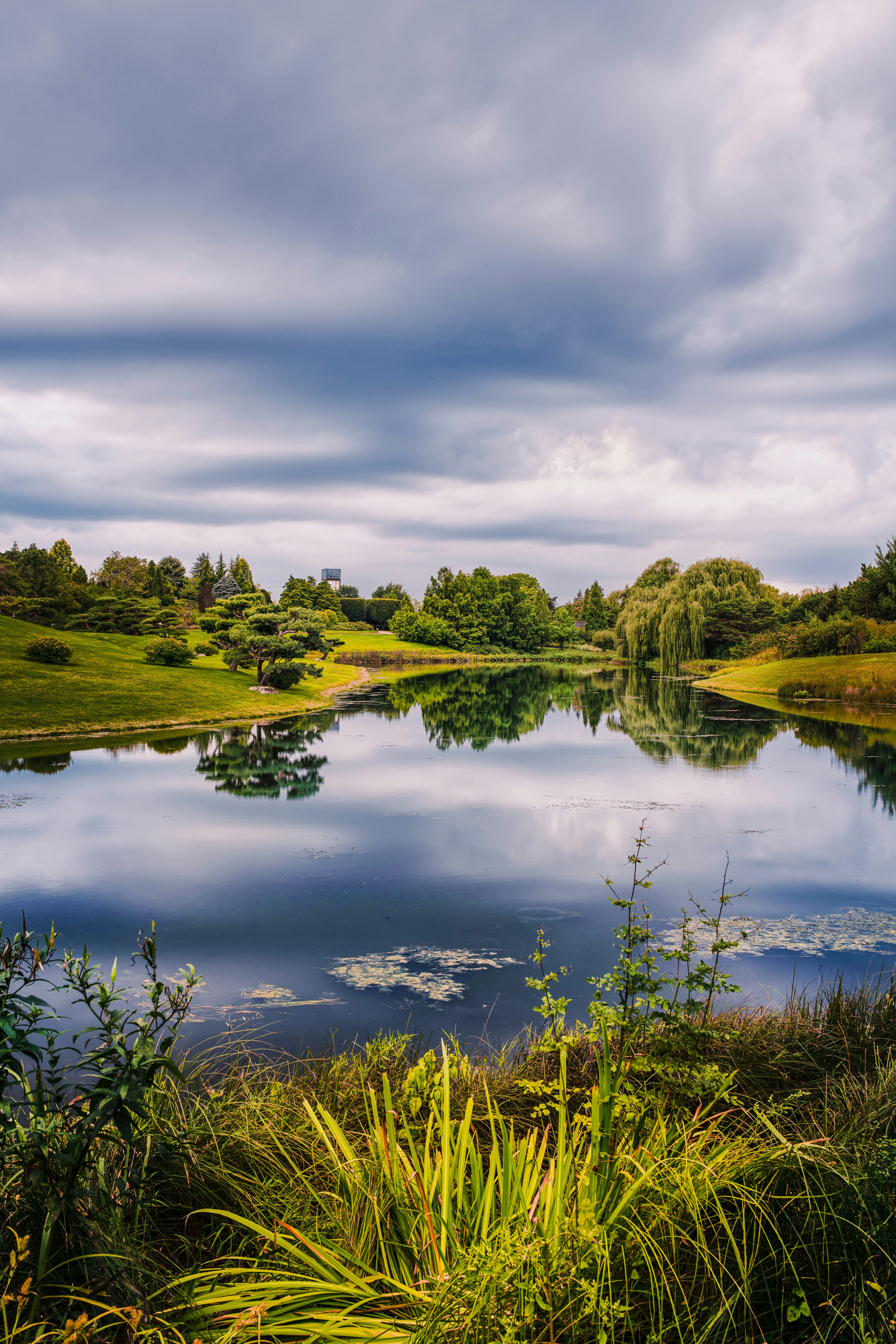 Photo by skylerewing