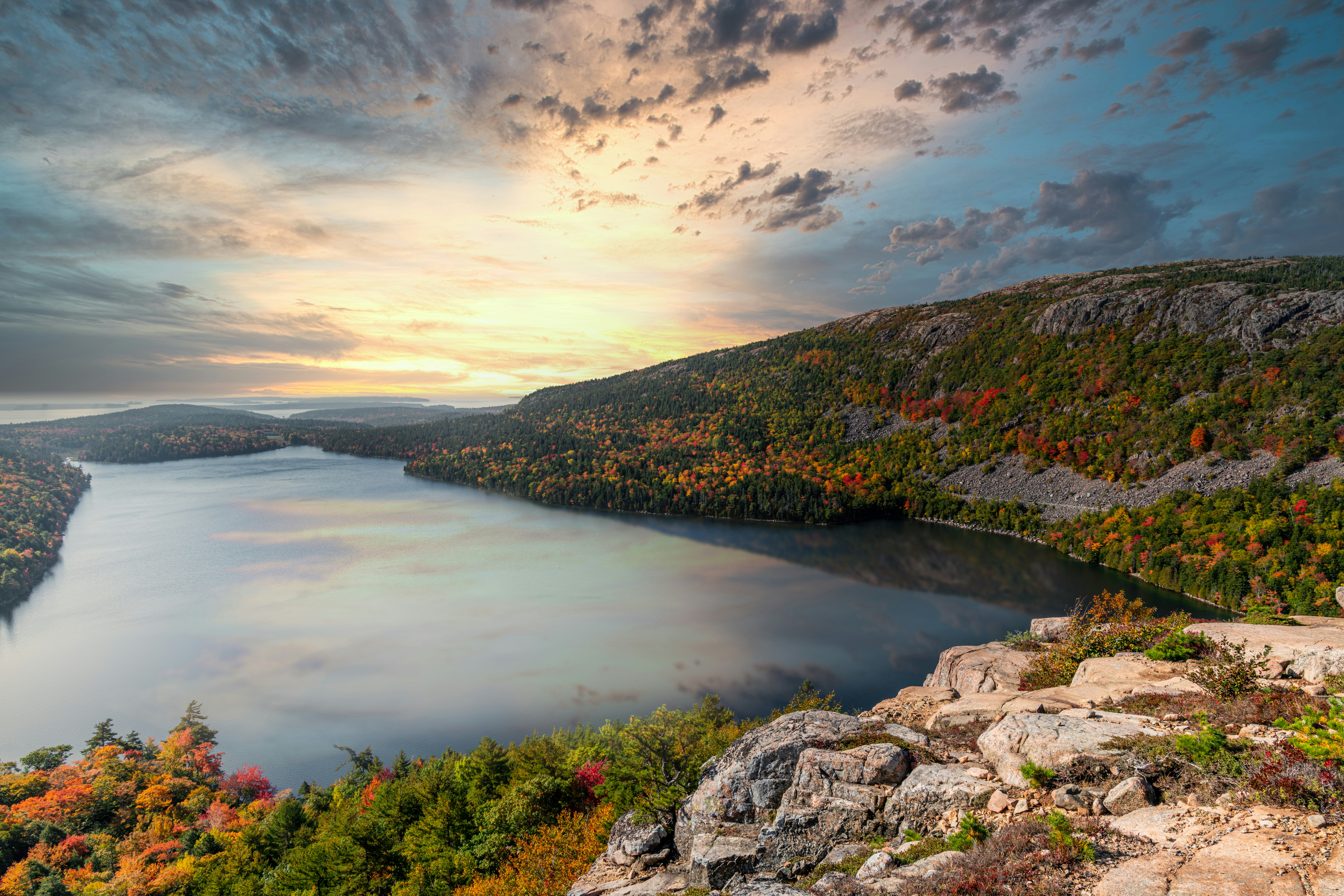 Photo by skylerewing