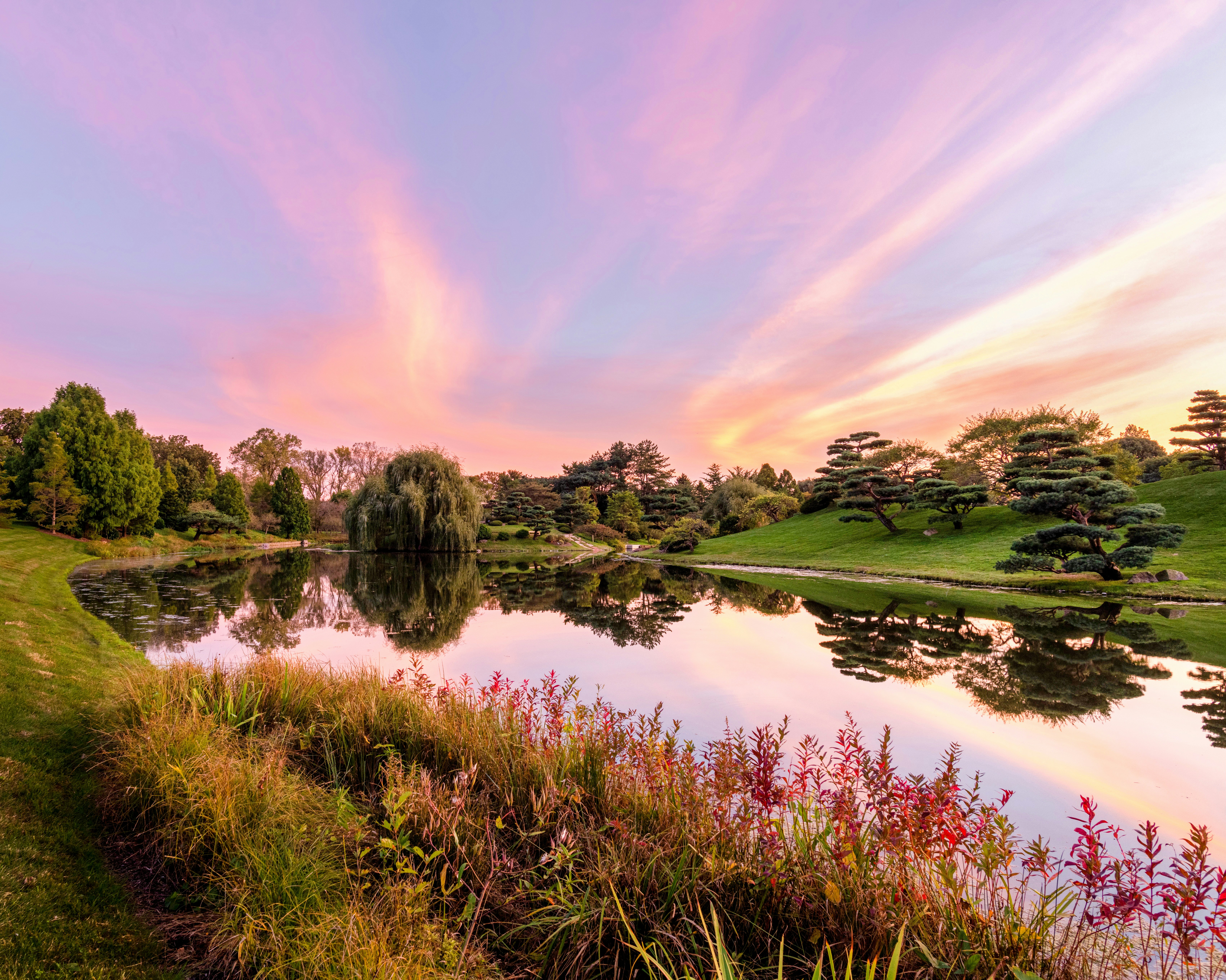 Photo by skylerewing