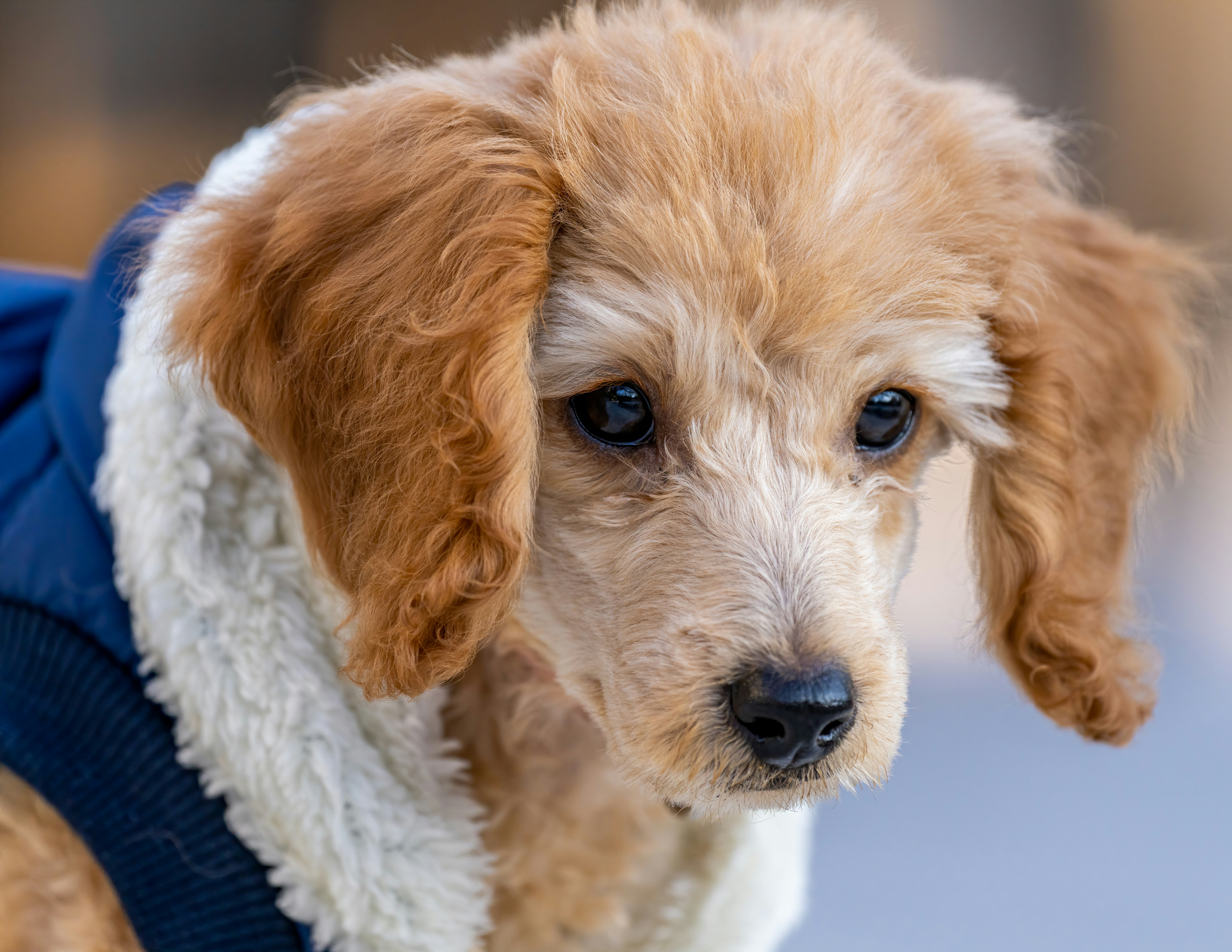 Photo by skylerewing