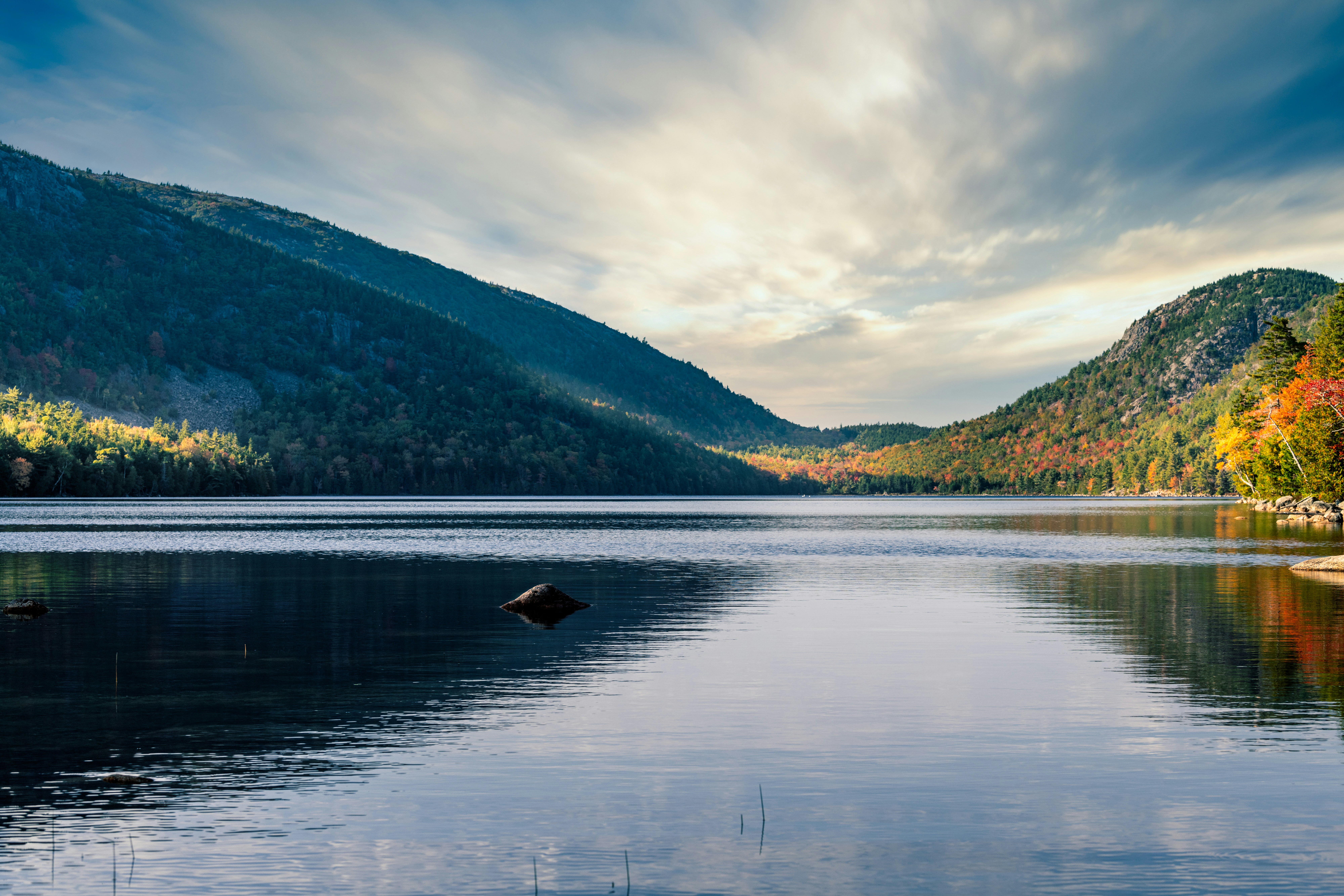 Photo by skylerewing