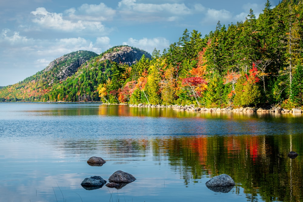 a lake with trees and mountains in the background