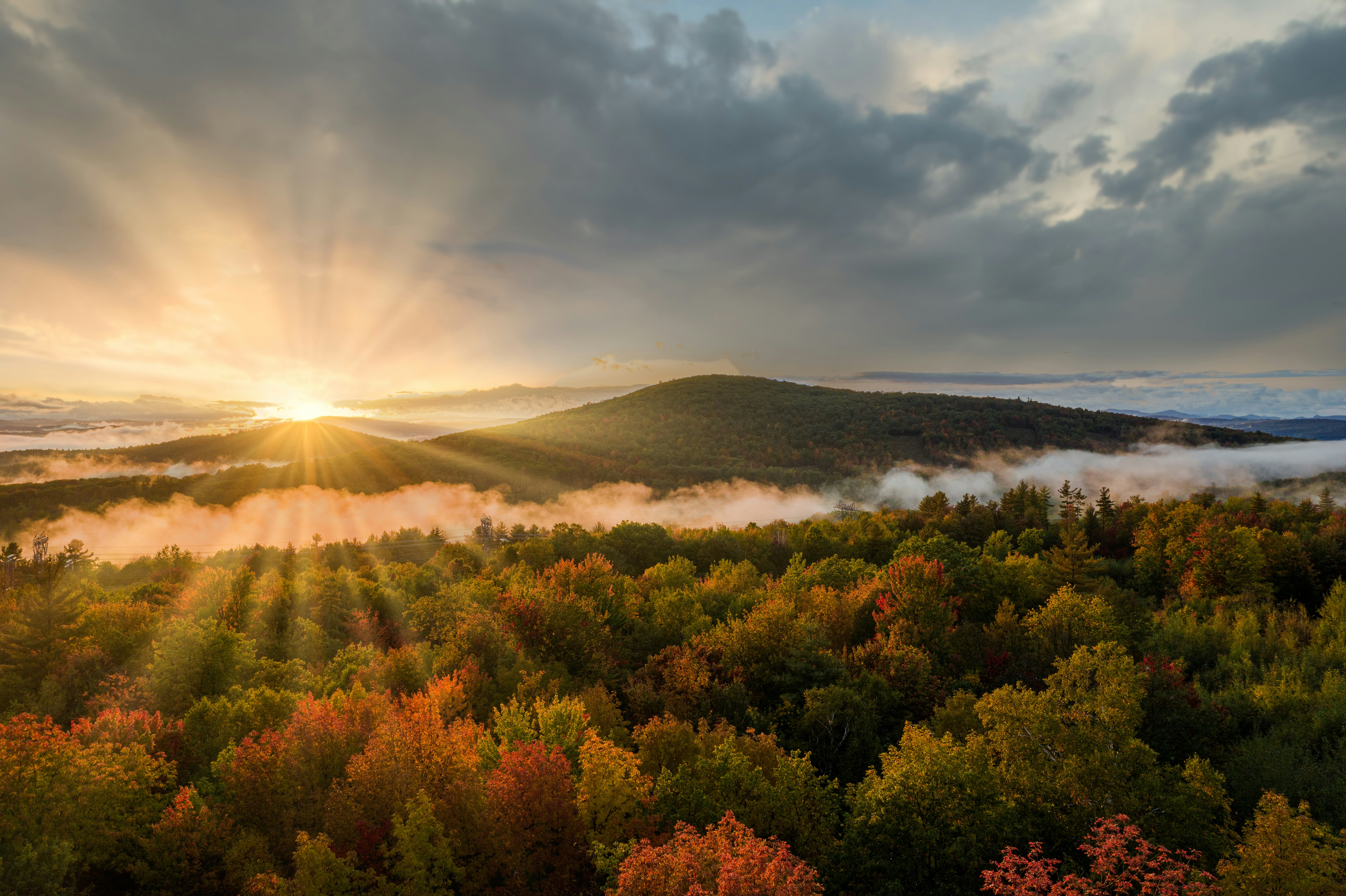 Photo by skylerewing