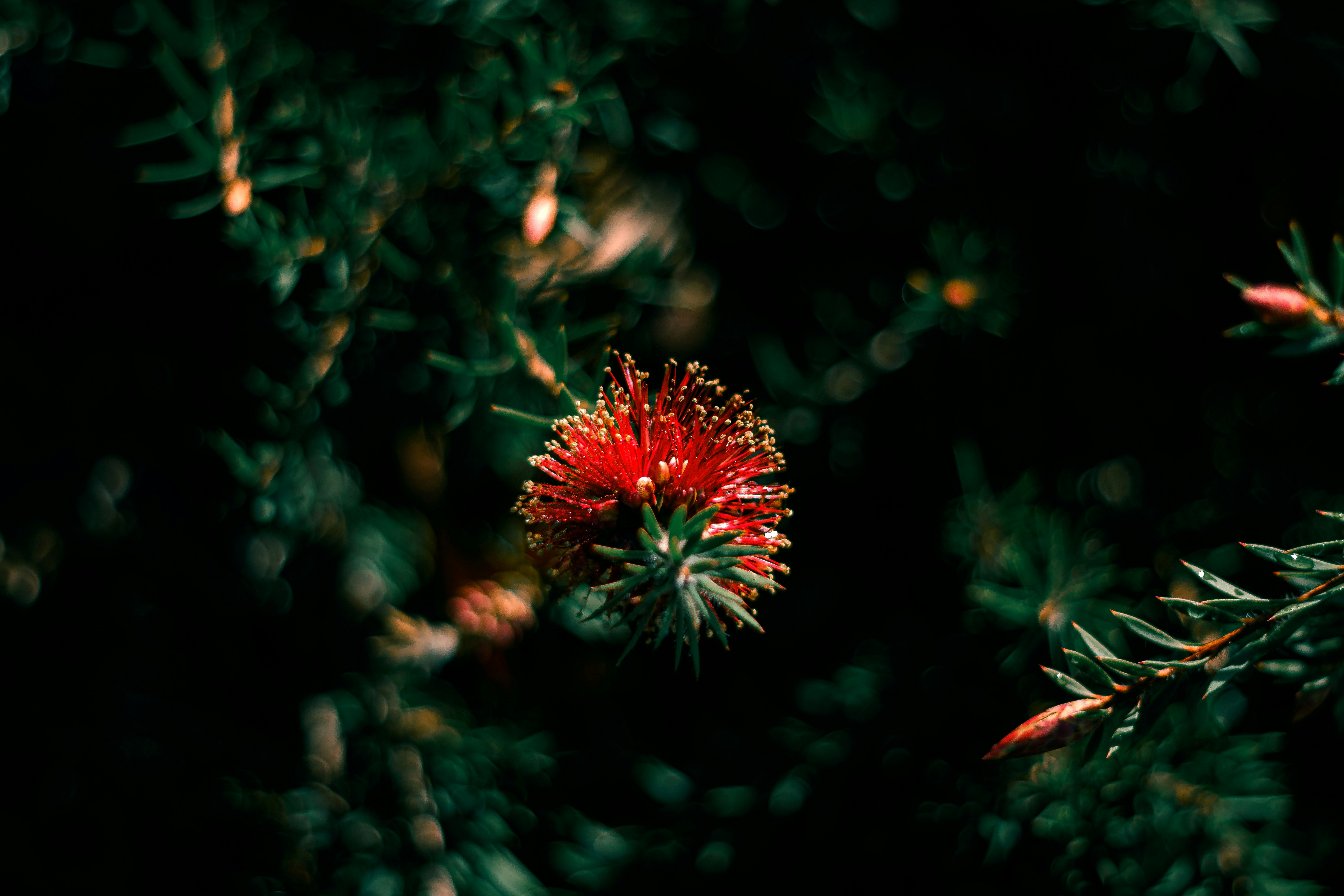 Photo by sirmisbehave