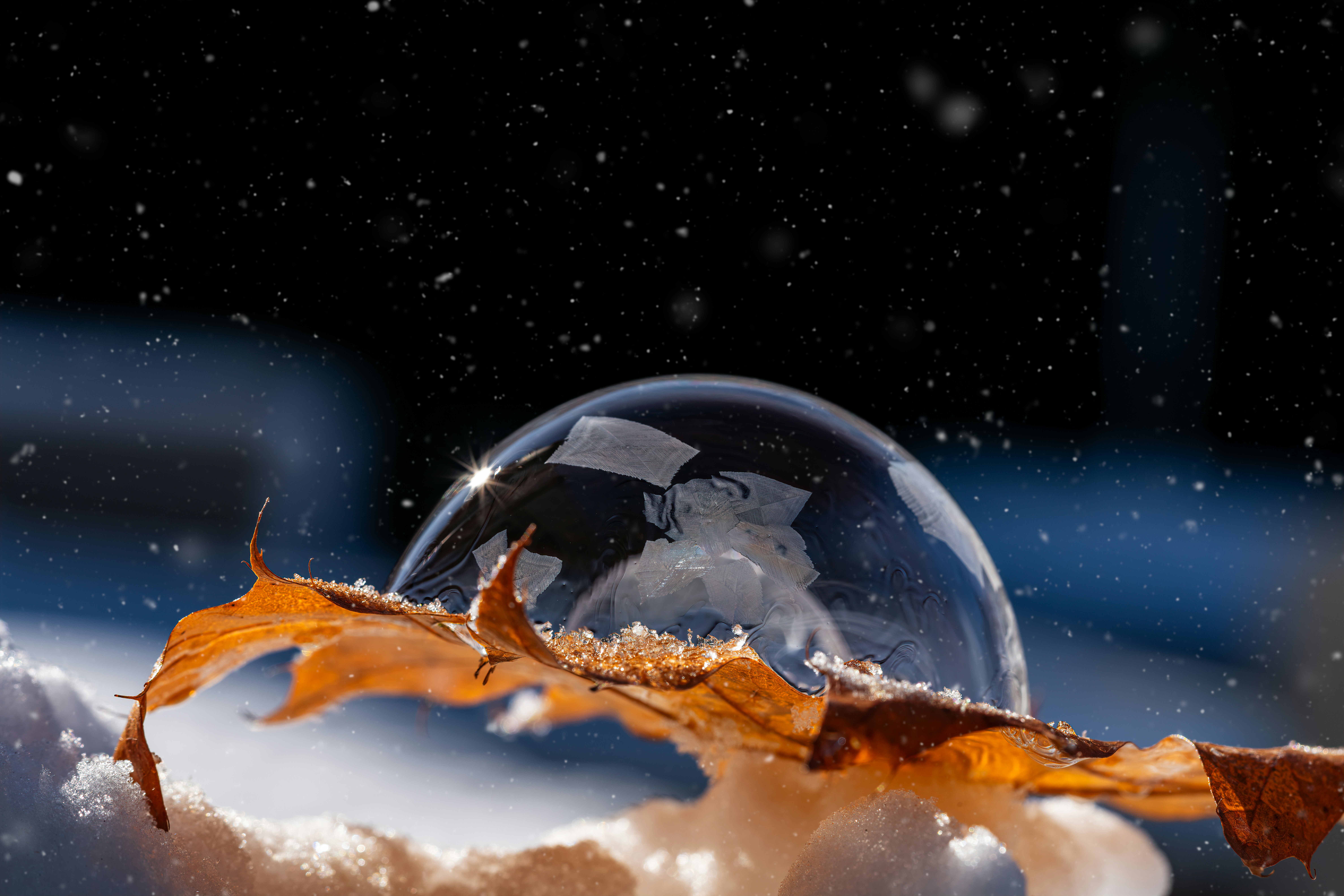 a glass ball sitting on top of a leaf