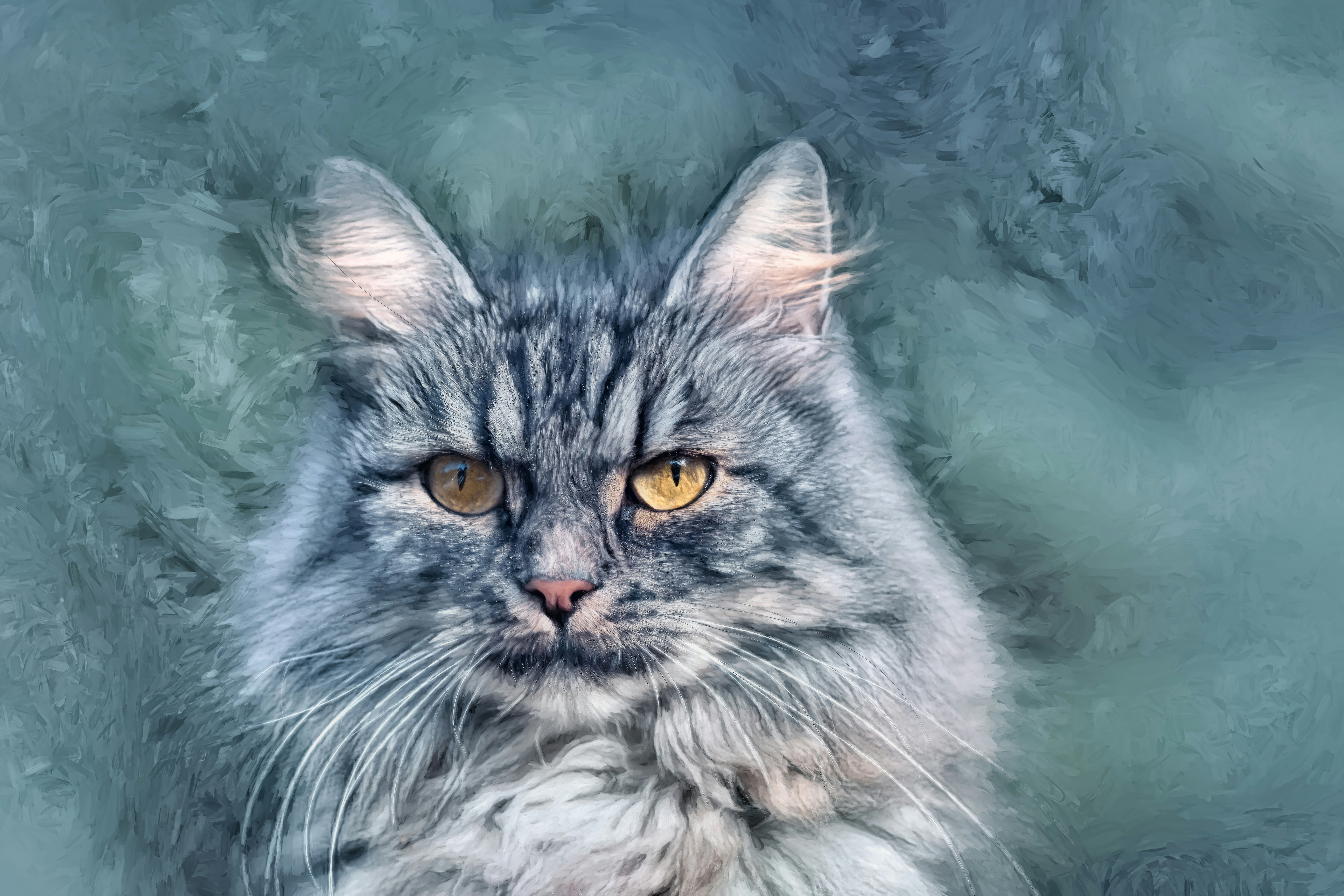 Photo by skylerewing