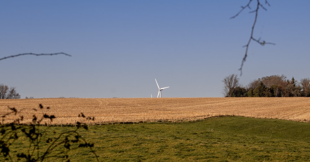 a field with a wind turbine in the distance