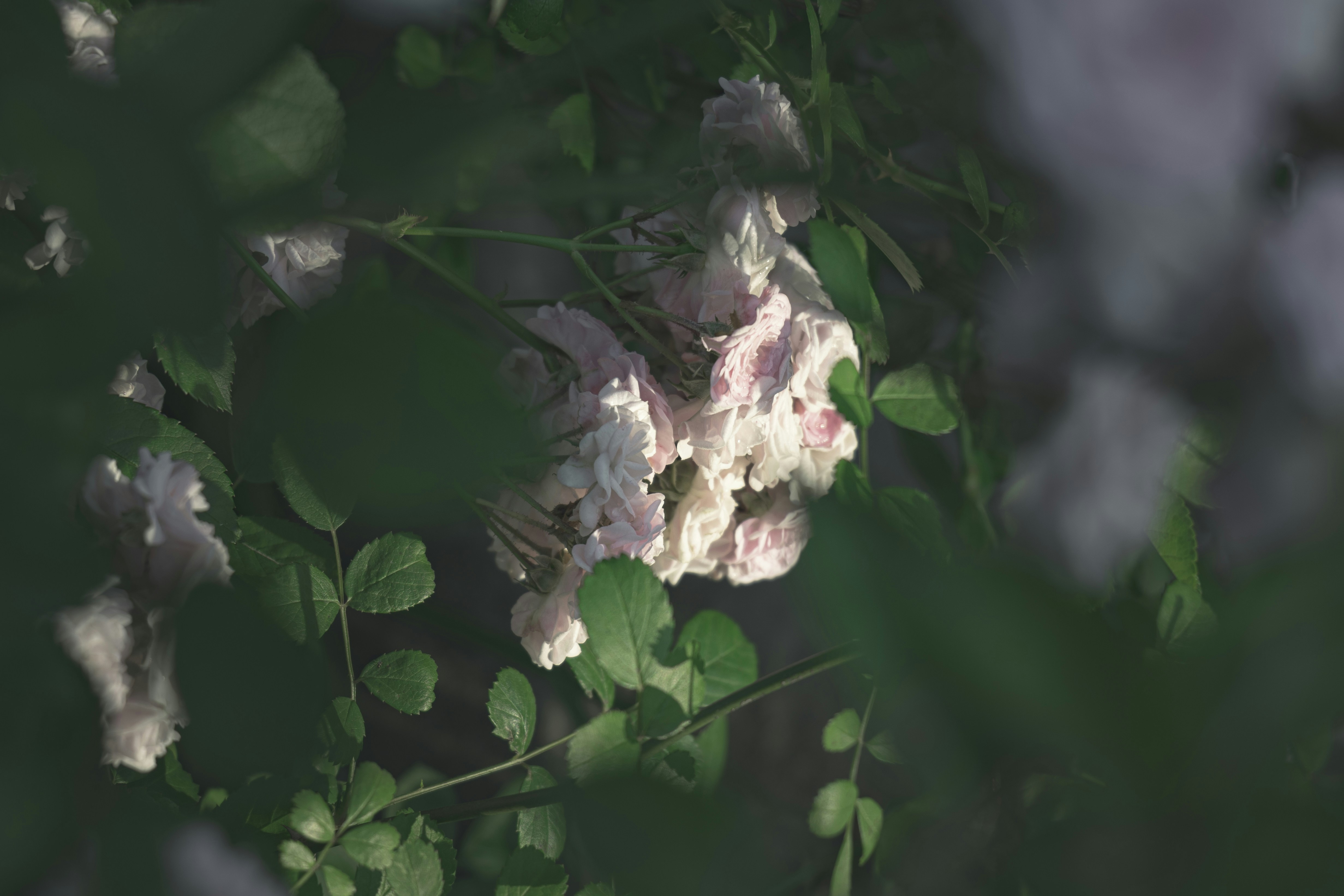 Photo by minecraftinventor
