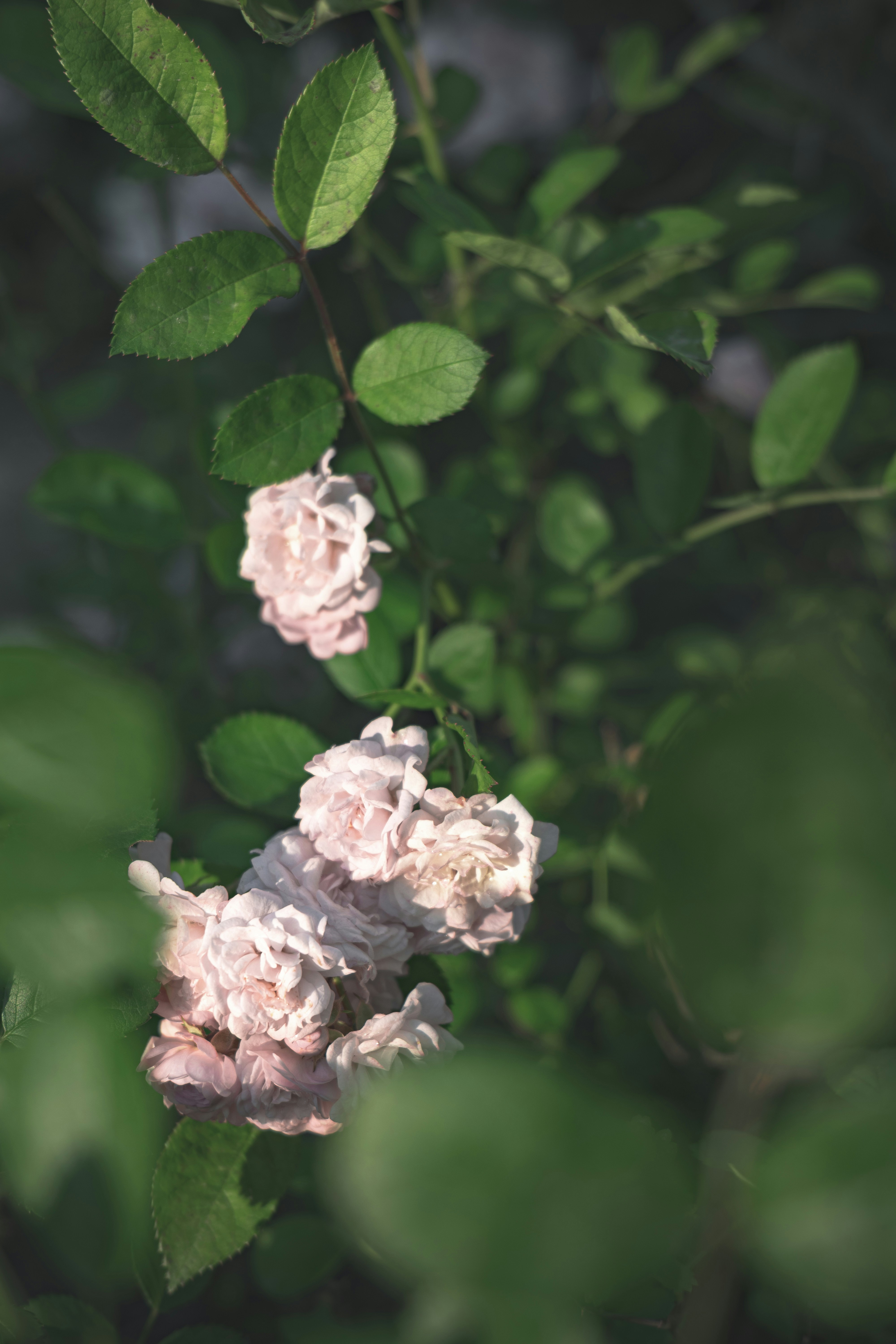 Photo by minecraftinventor