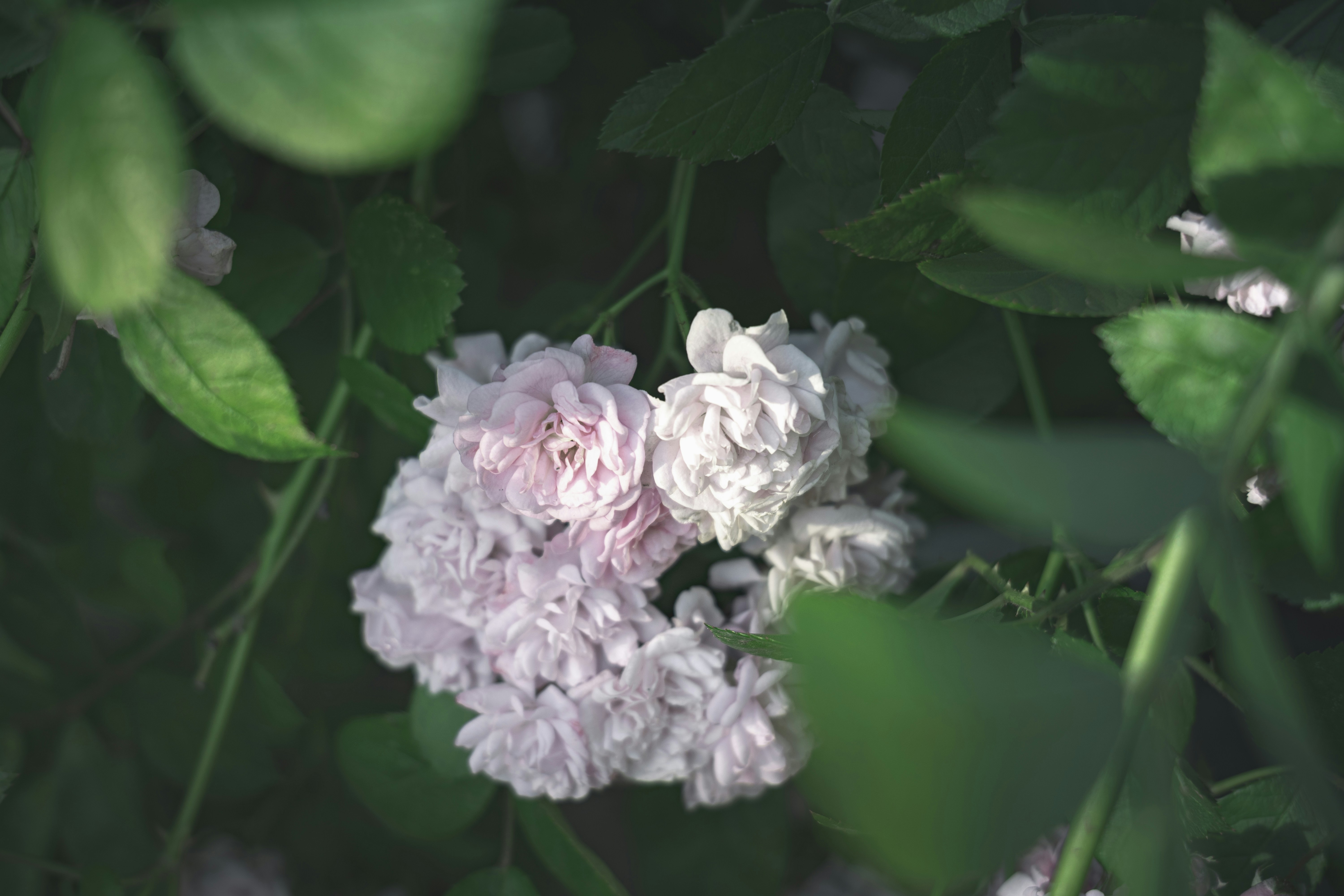 Photo by minecraftinventor