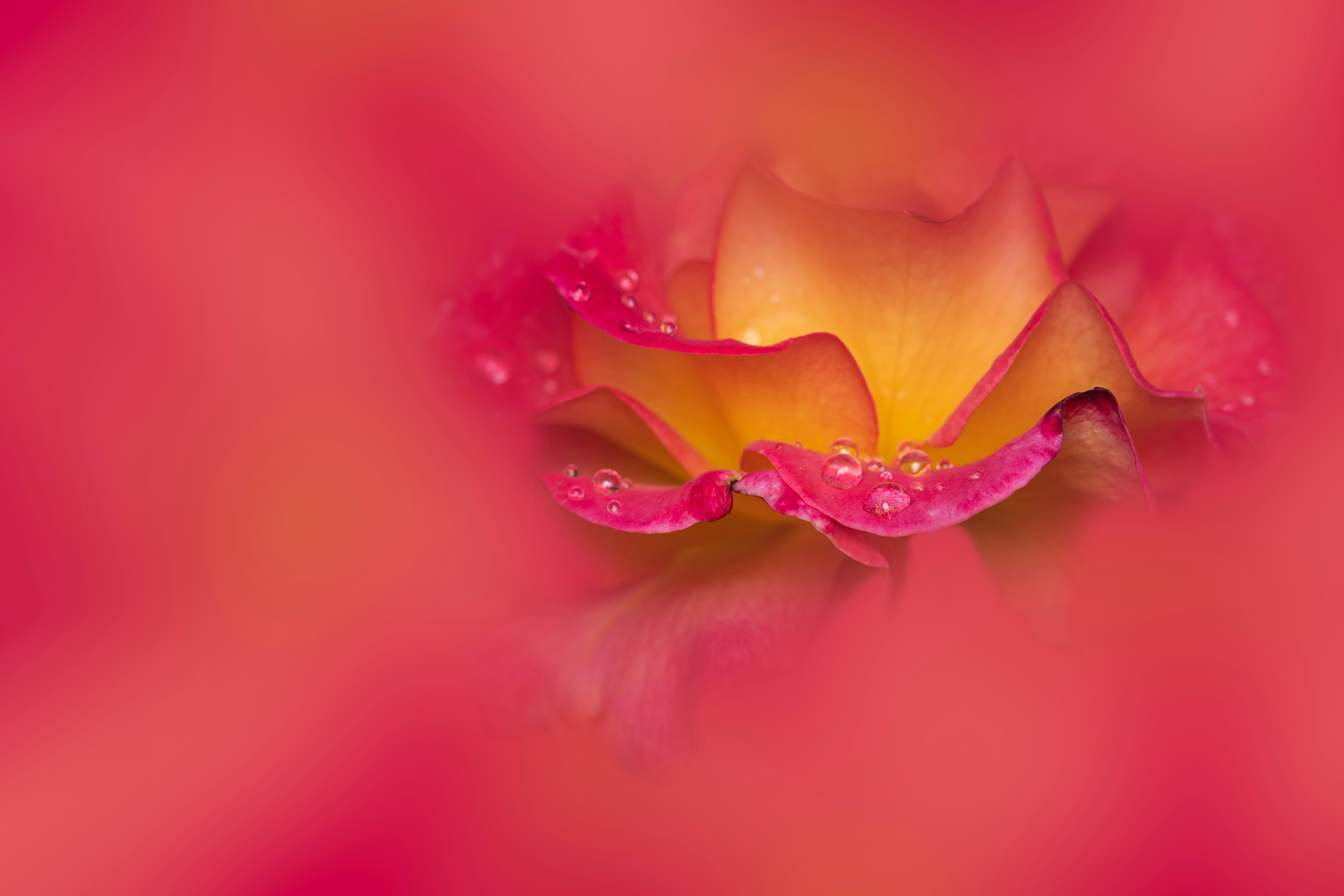 Photo by skylerewing