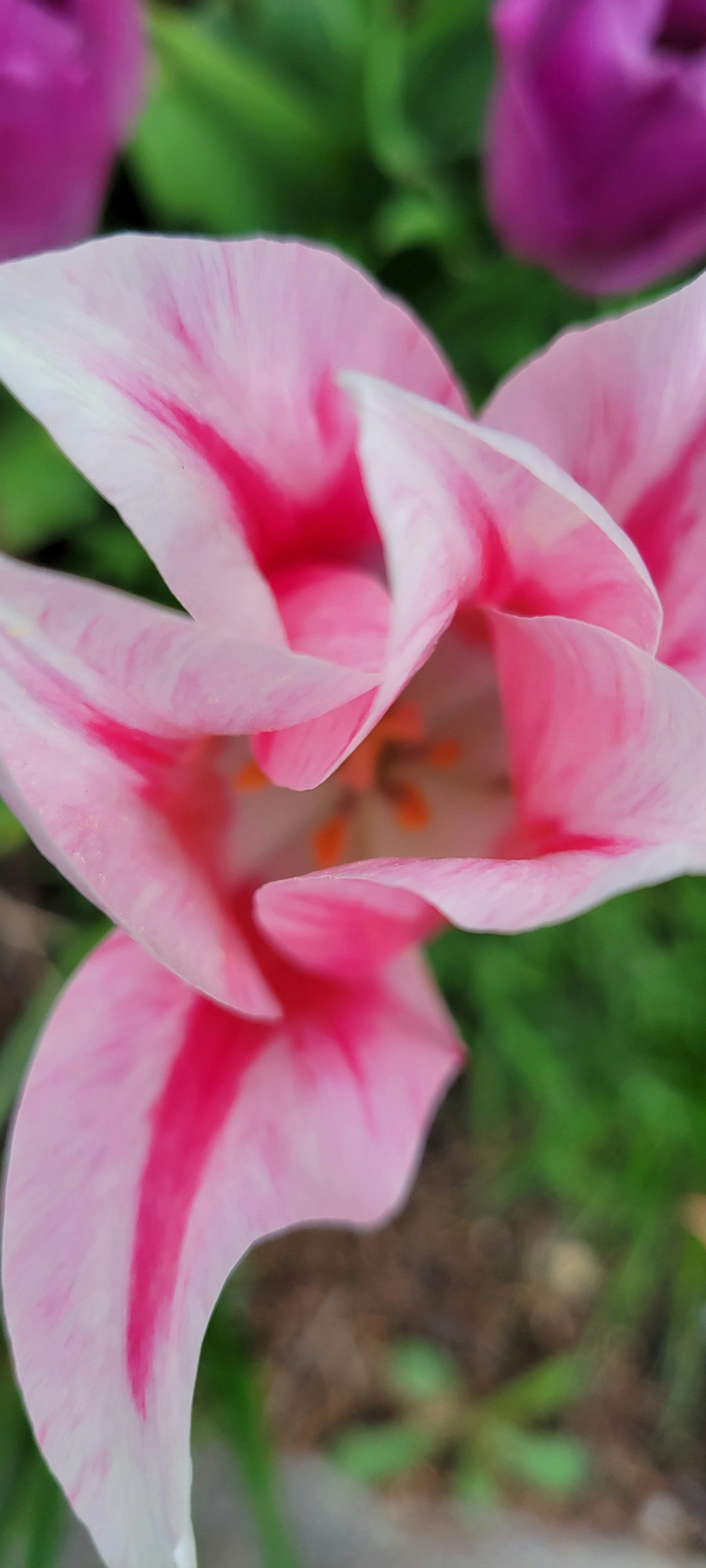 Photo by seaofthesaints