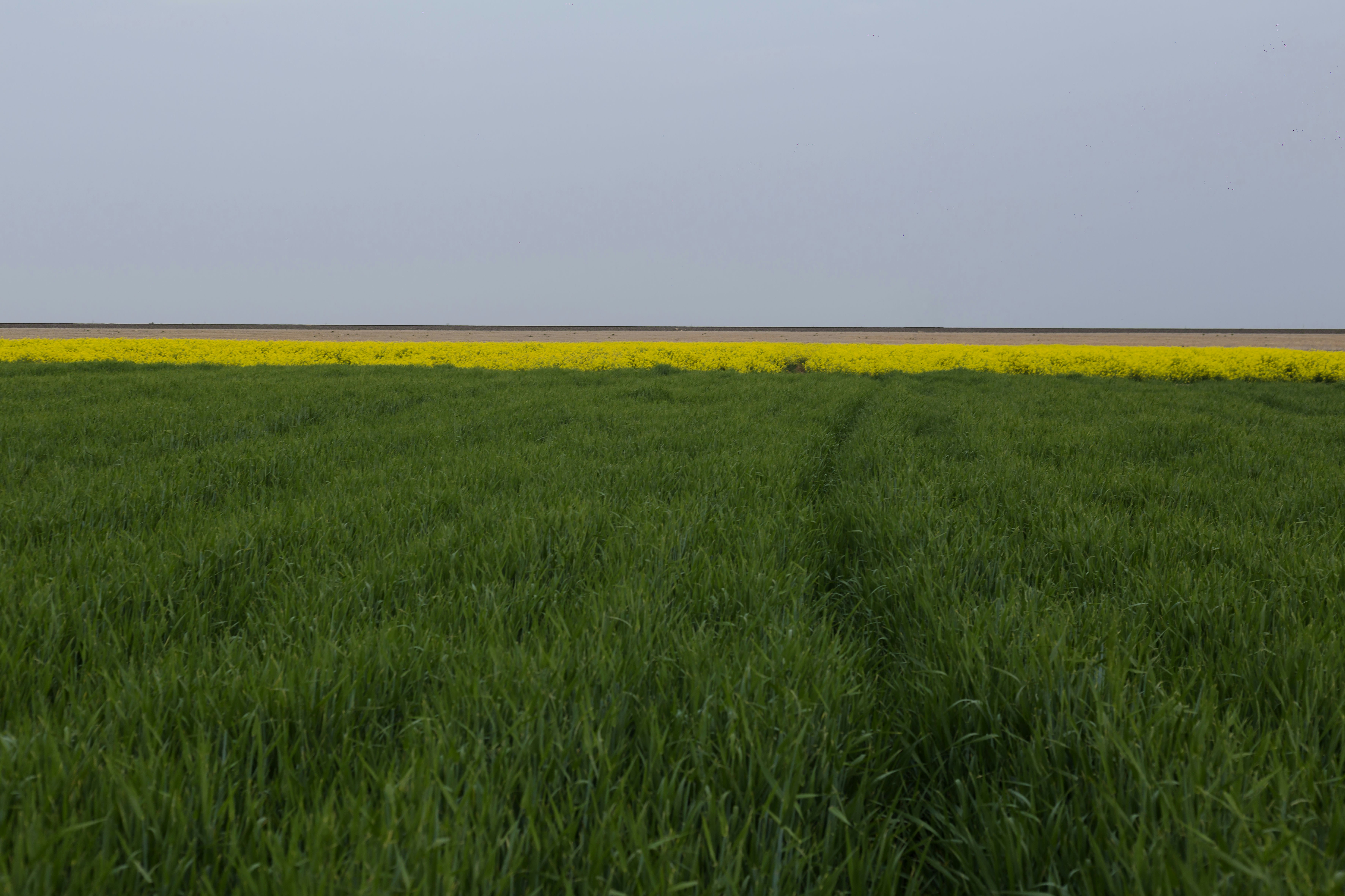 Photo by javad_esmaeili