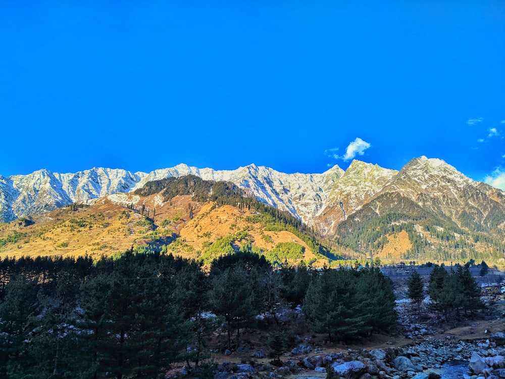 a view of a mountain range with trees in the foreground