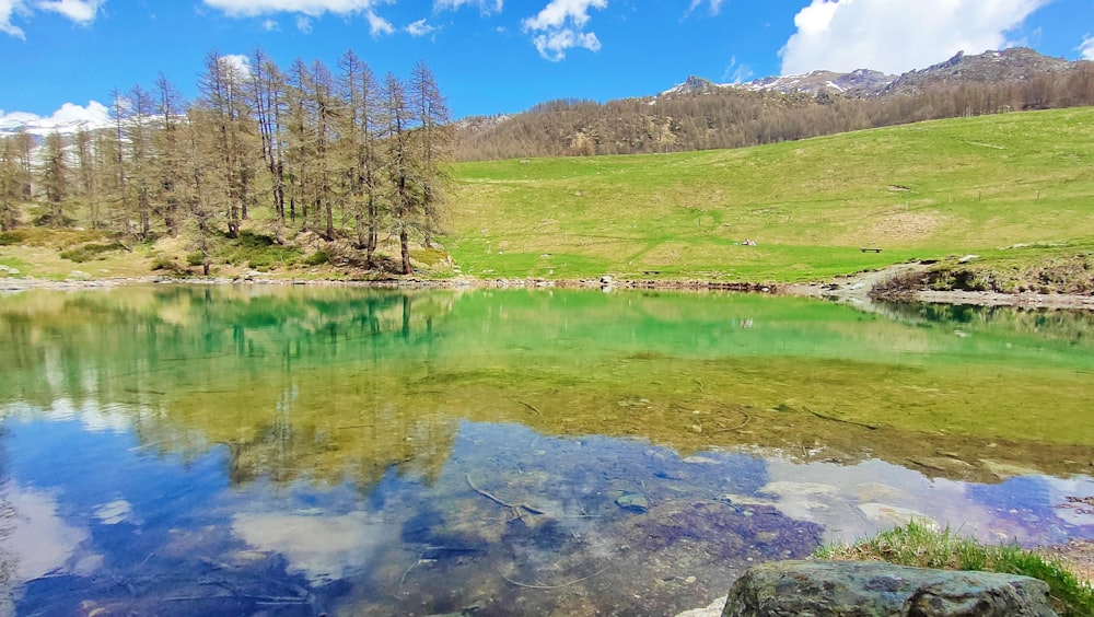 a lake surrounded by a lush green hillside