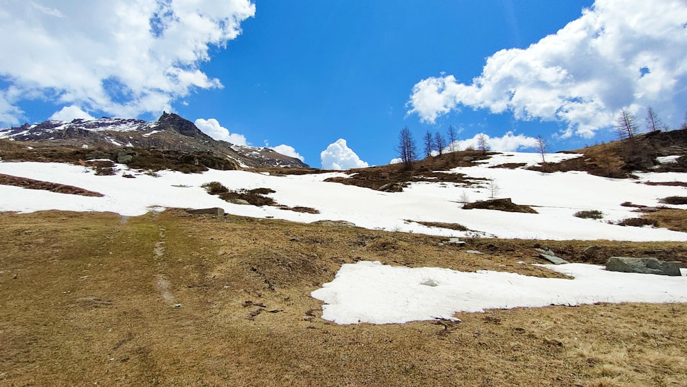 a snow covered field with a mountain in the background