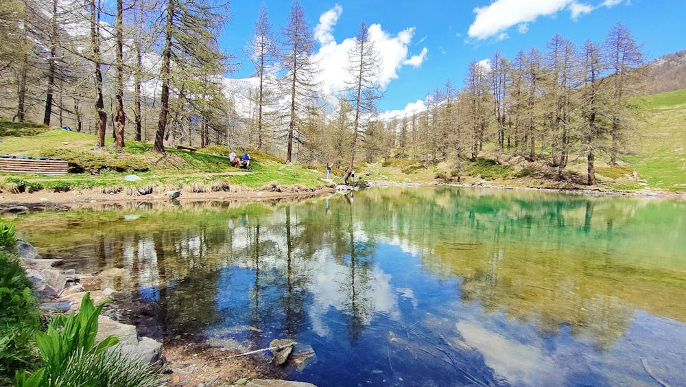 a body of water surrounded by trees and grass