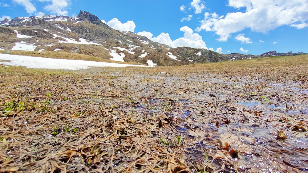 a view of a snow covered mountain from the ground