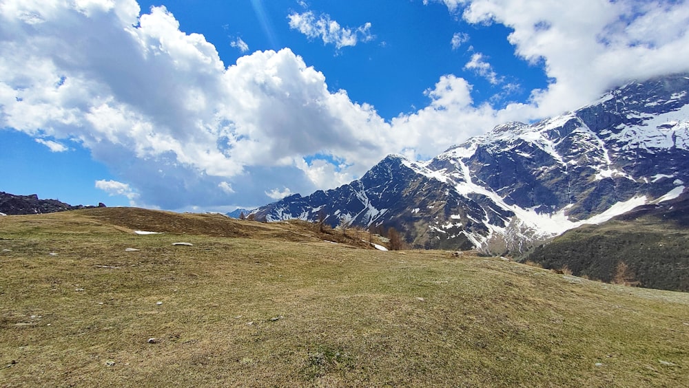 a grassy field with a mountain in the background