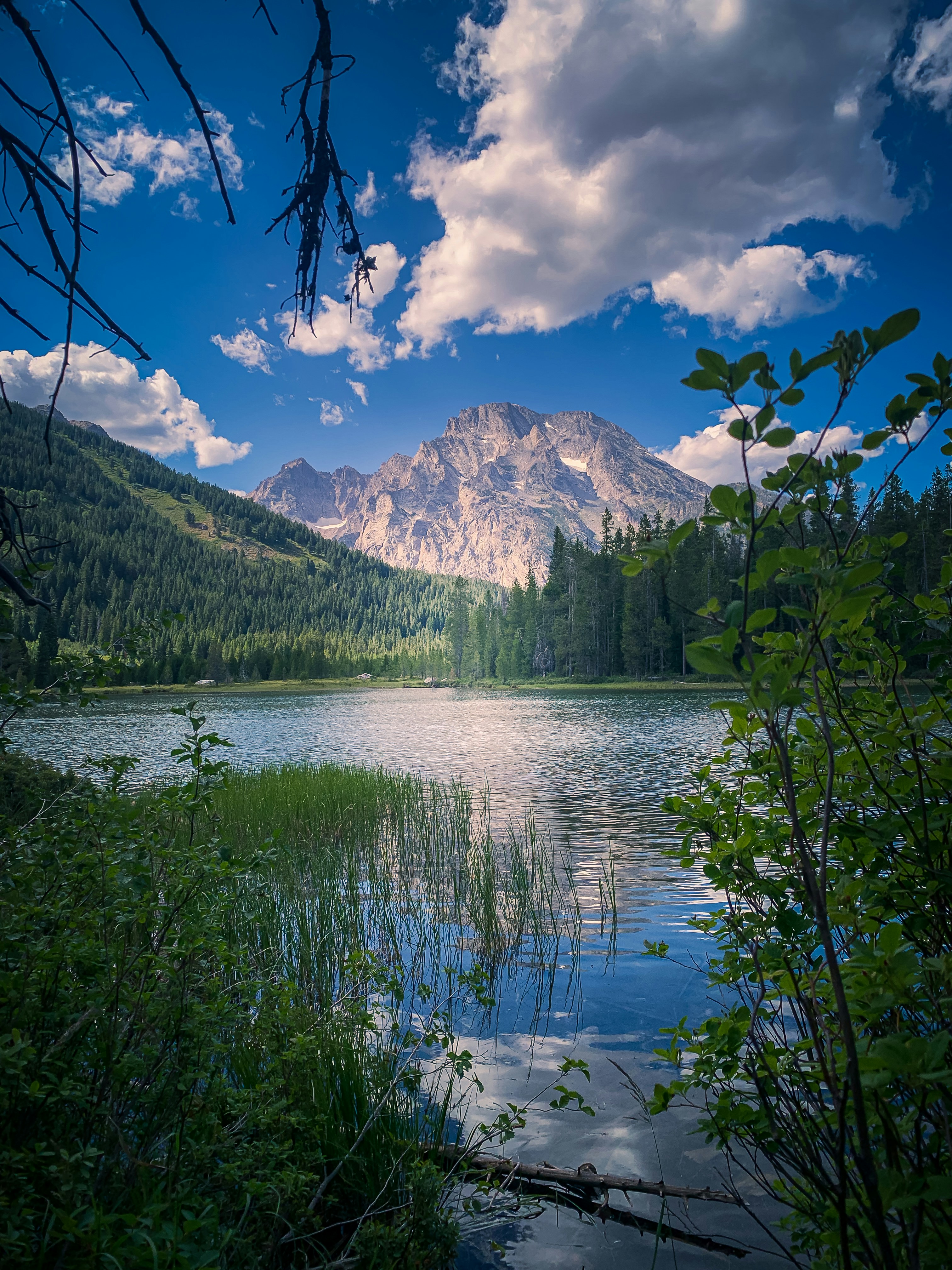 Photo by skylerewing